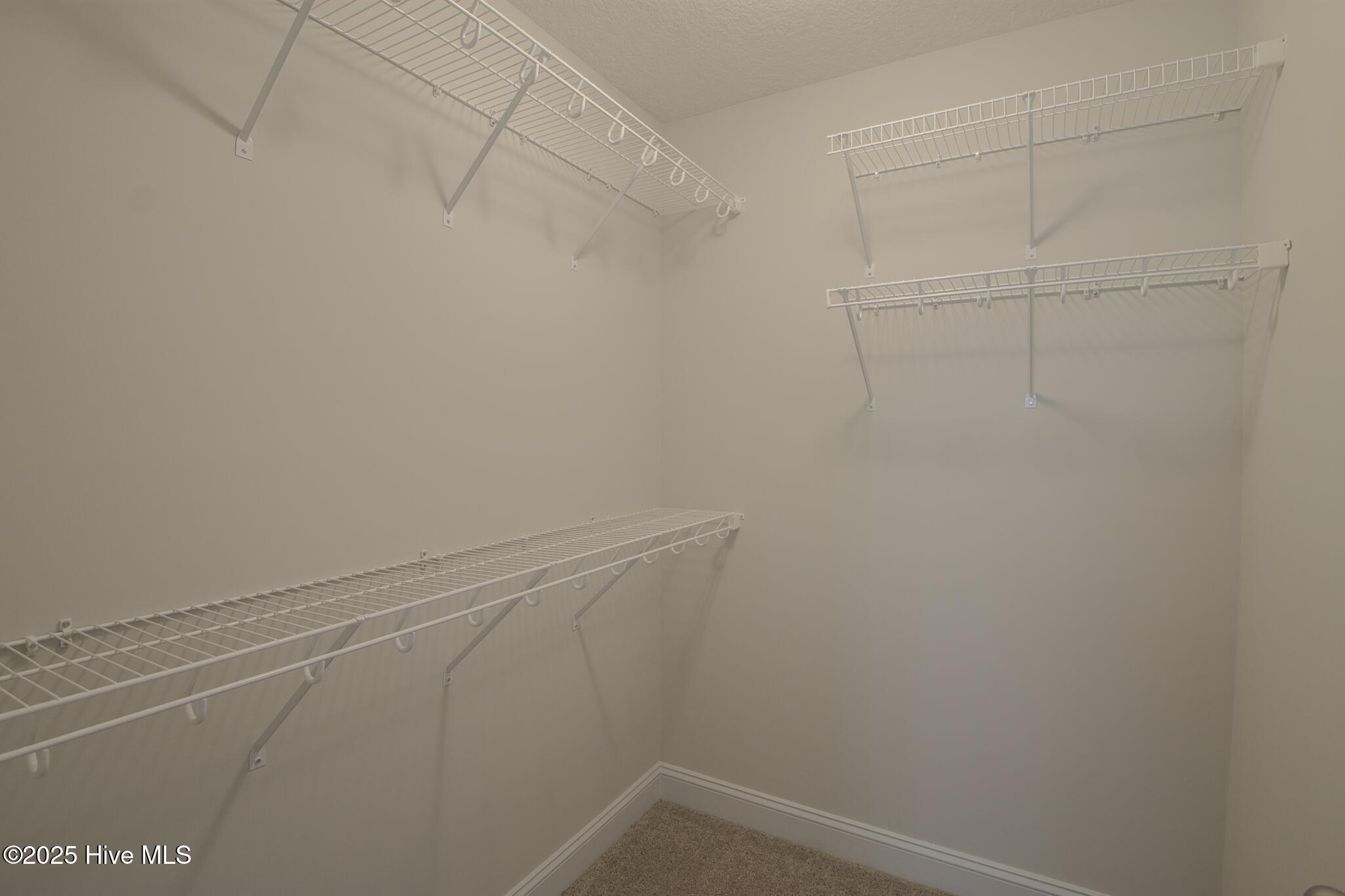 100509462 | Photo 30