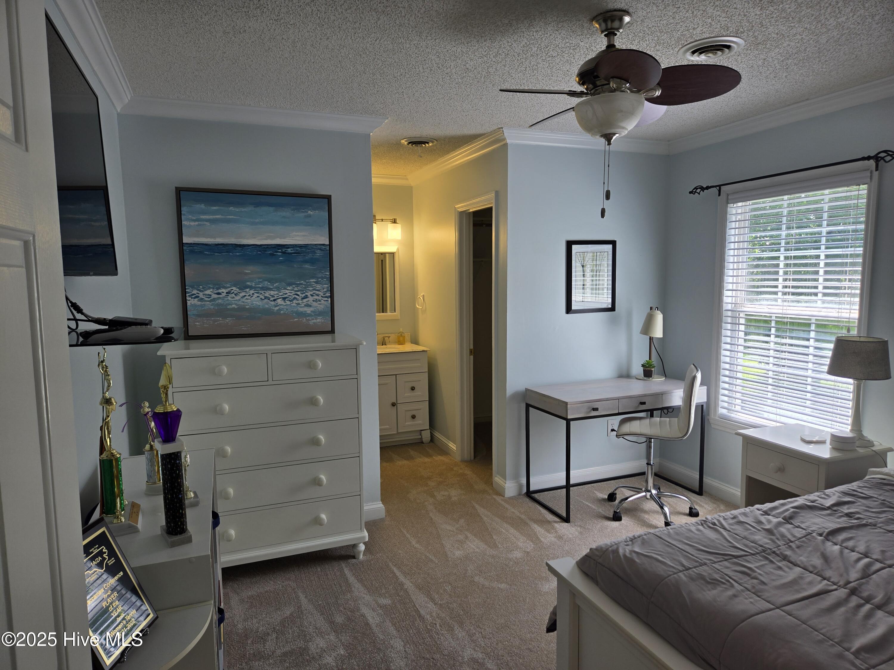 100517871 | Photo 18