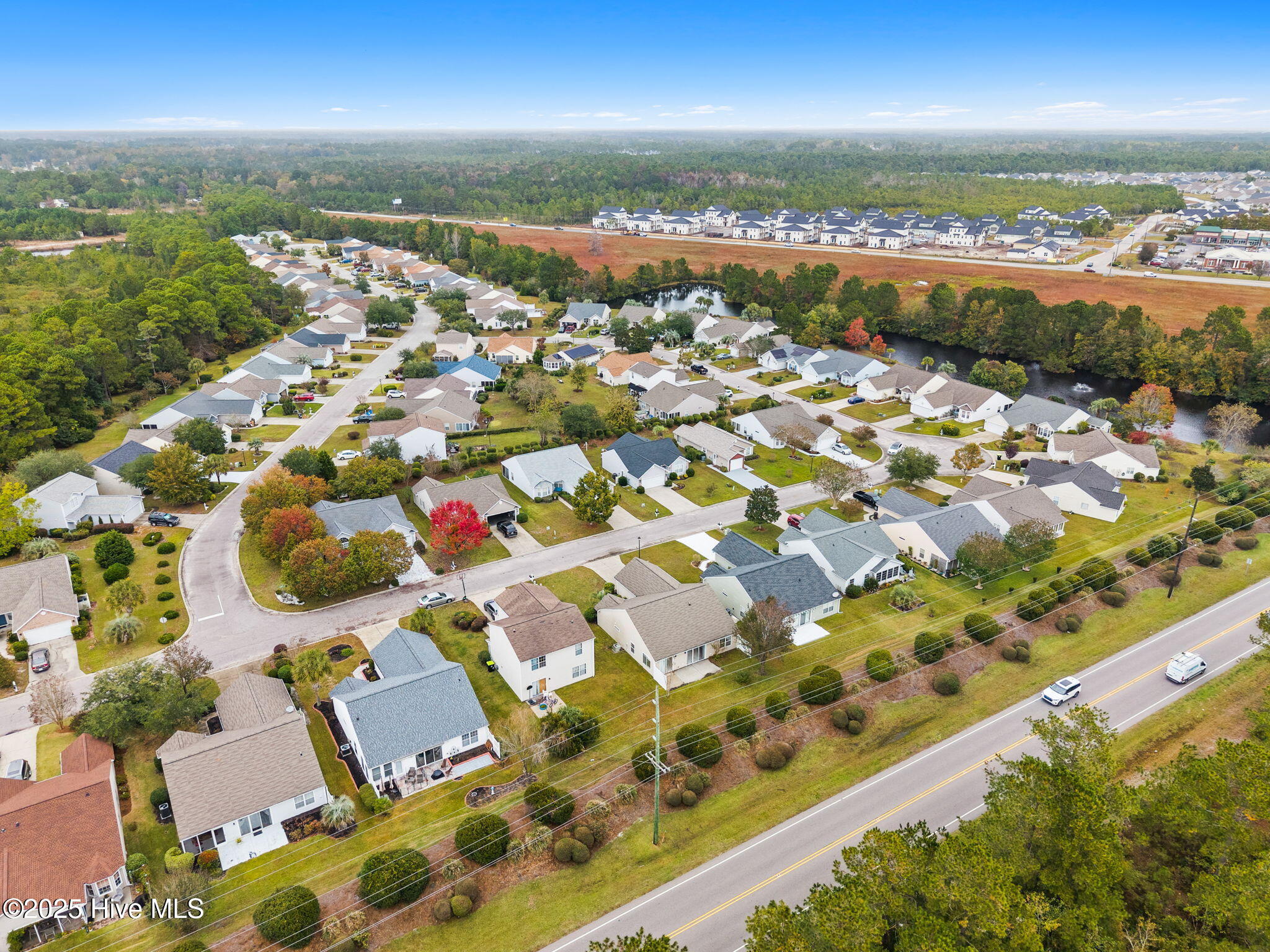 100536152 | Photo 48