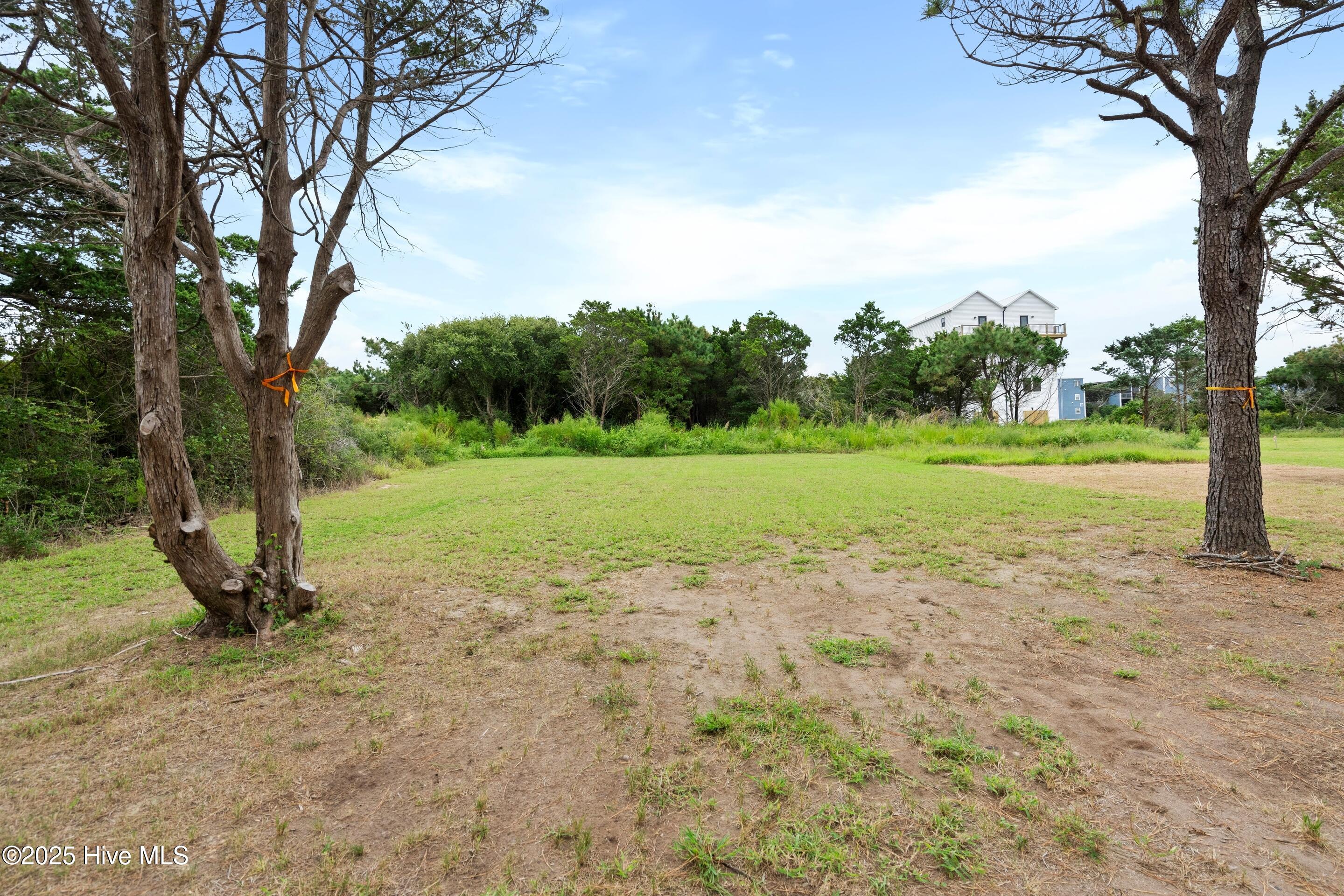 100525905 | Photo 47