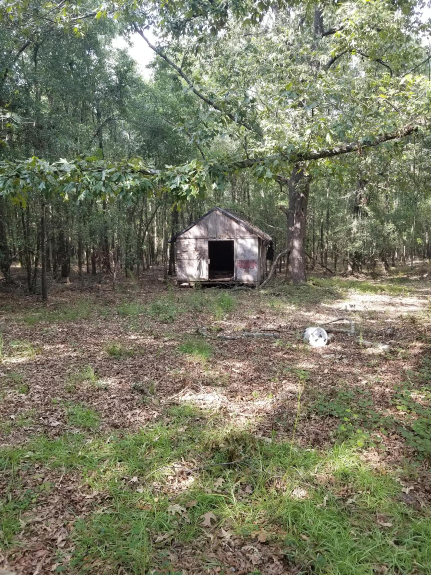 Homes for sale in Waynesboro, GA | 0 River Rd, Waynesboro, GA 30830 | MLS# 544387