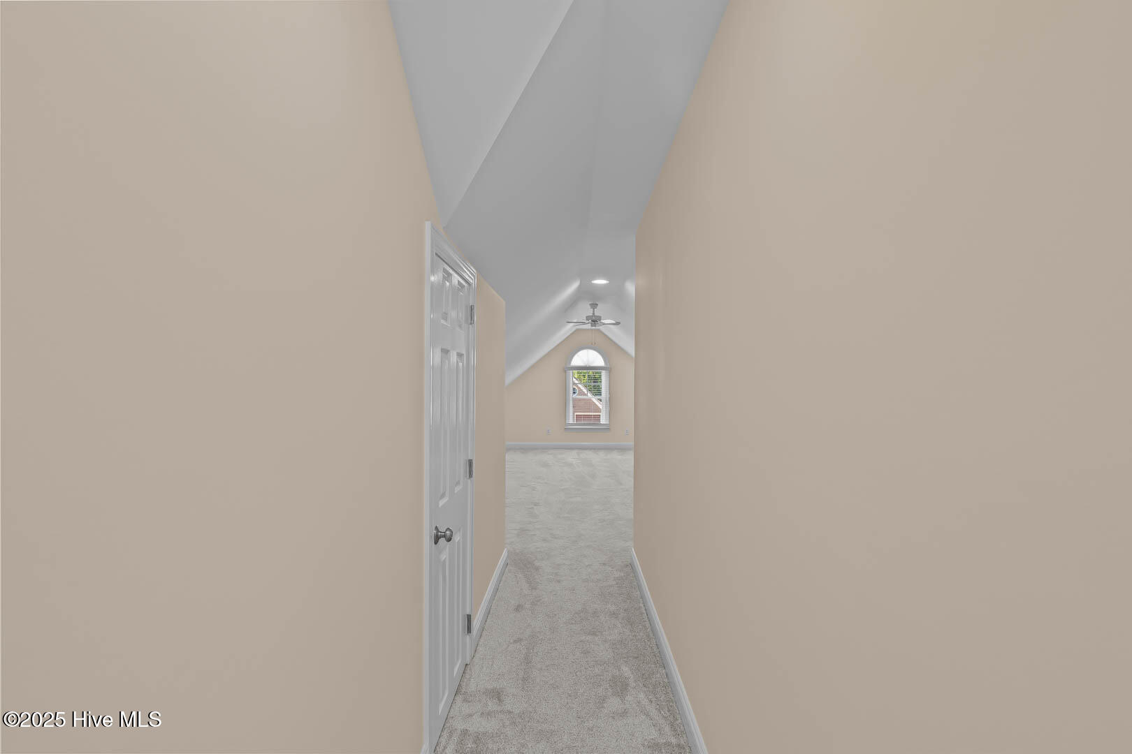 100512903 | Photo 52