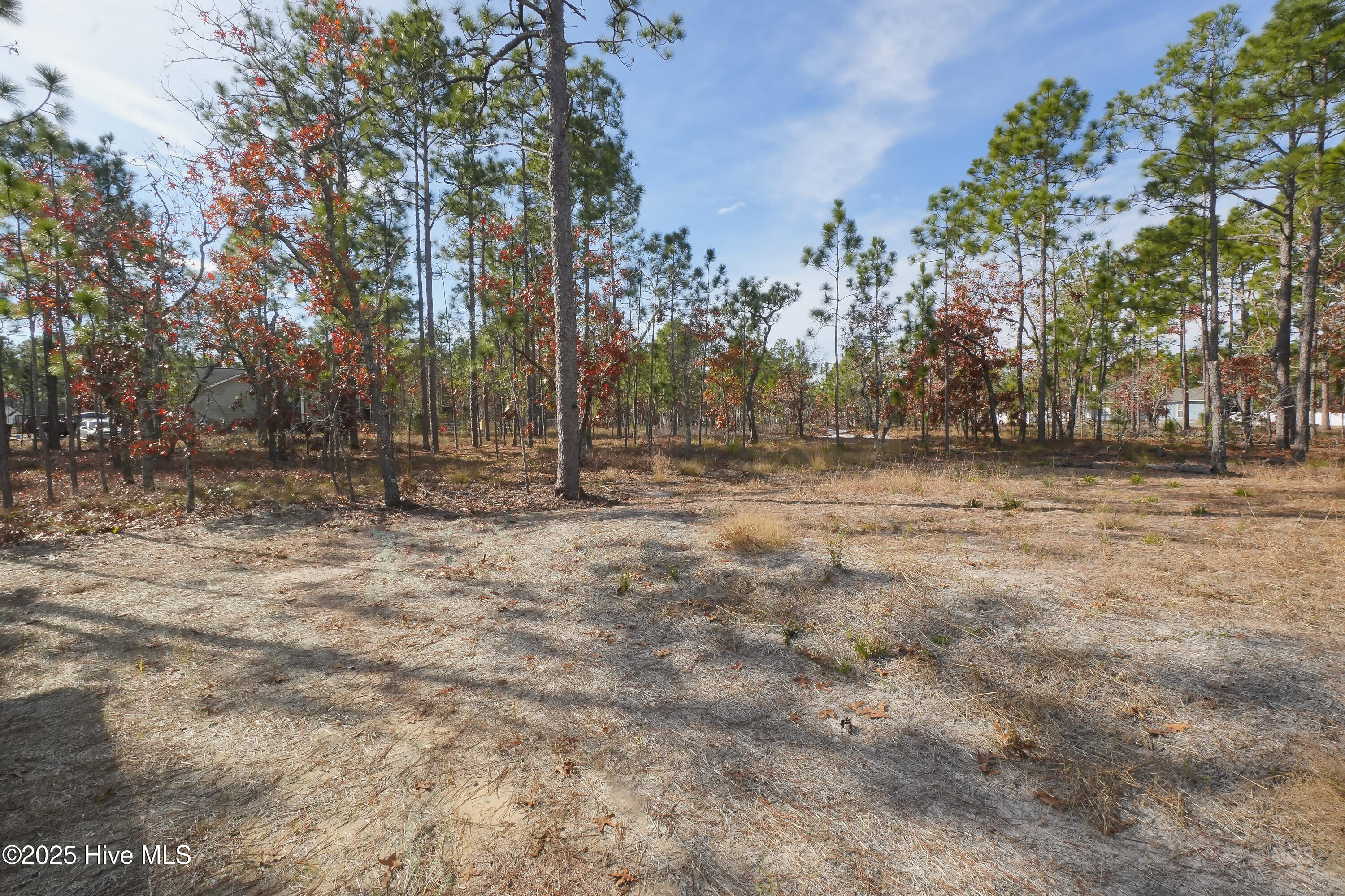 100545694 | Photo 25