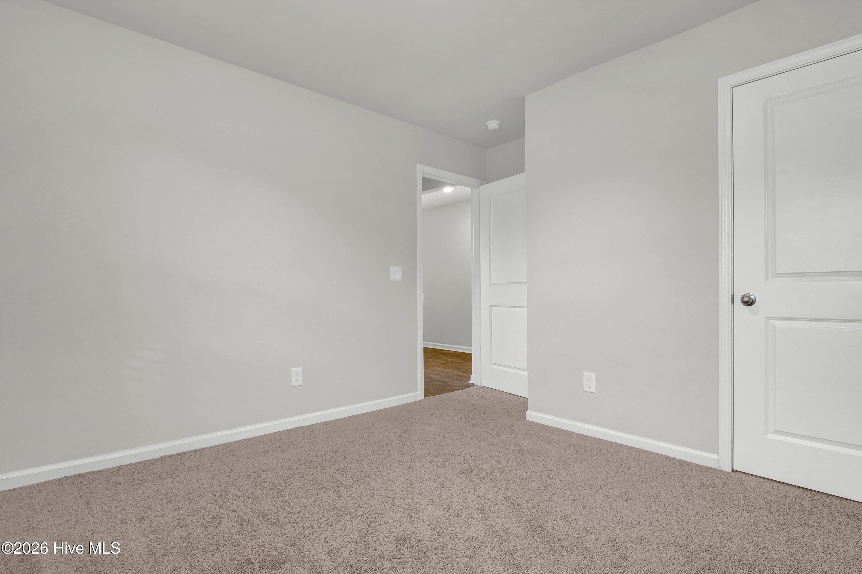 100558236 | Photo 24