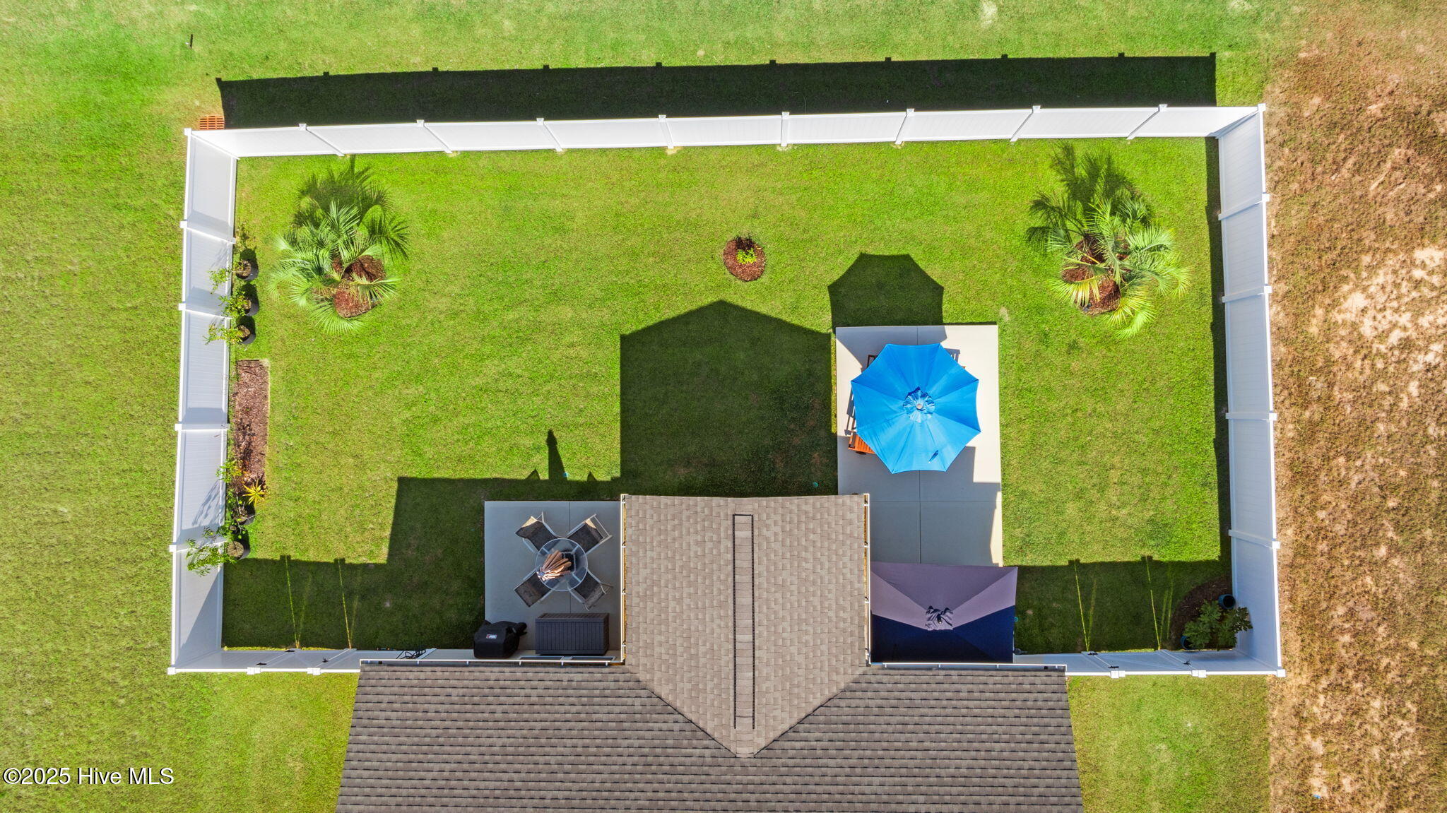 100536885 | Photo 25