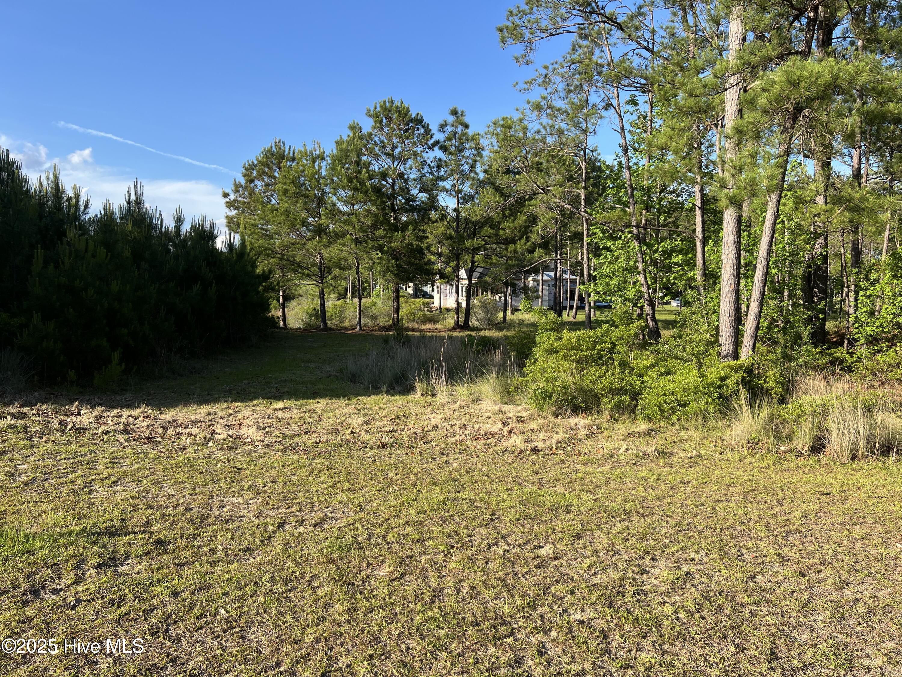 100509687 | Photo 15