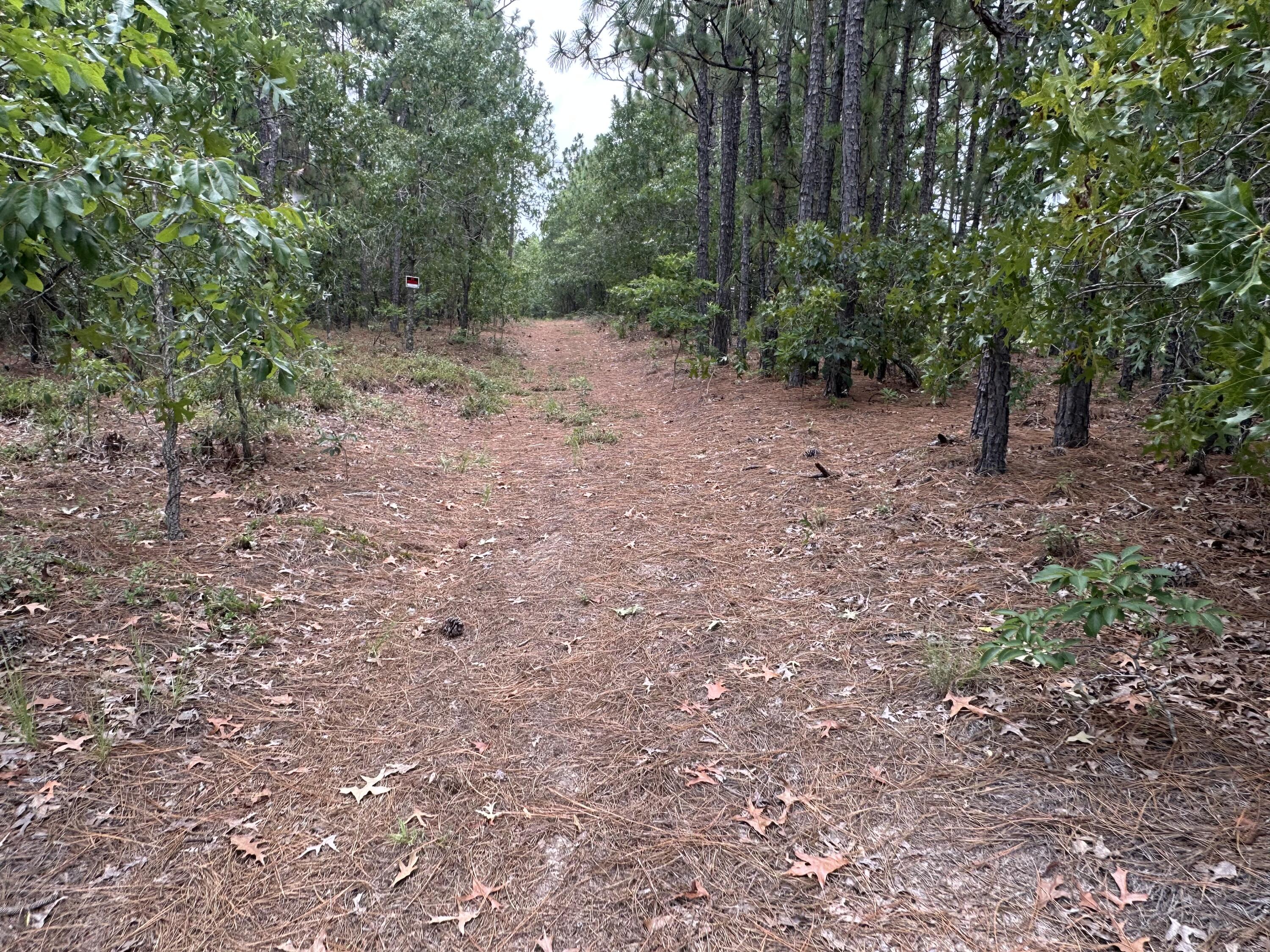 Homes for sale in Blythe, GA | 2070 Greenland Rd, Blythe, GA 30805 | MLS# 543749