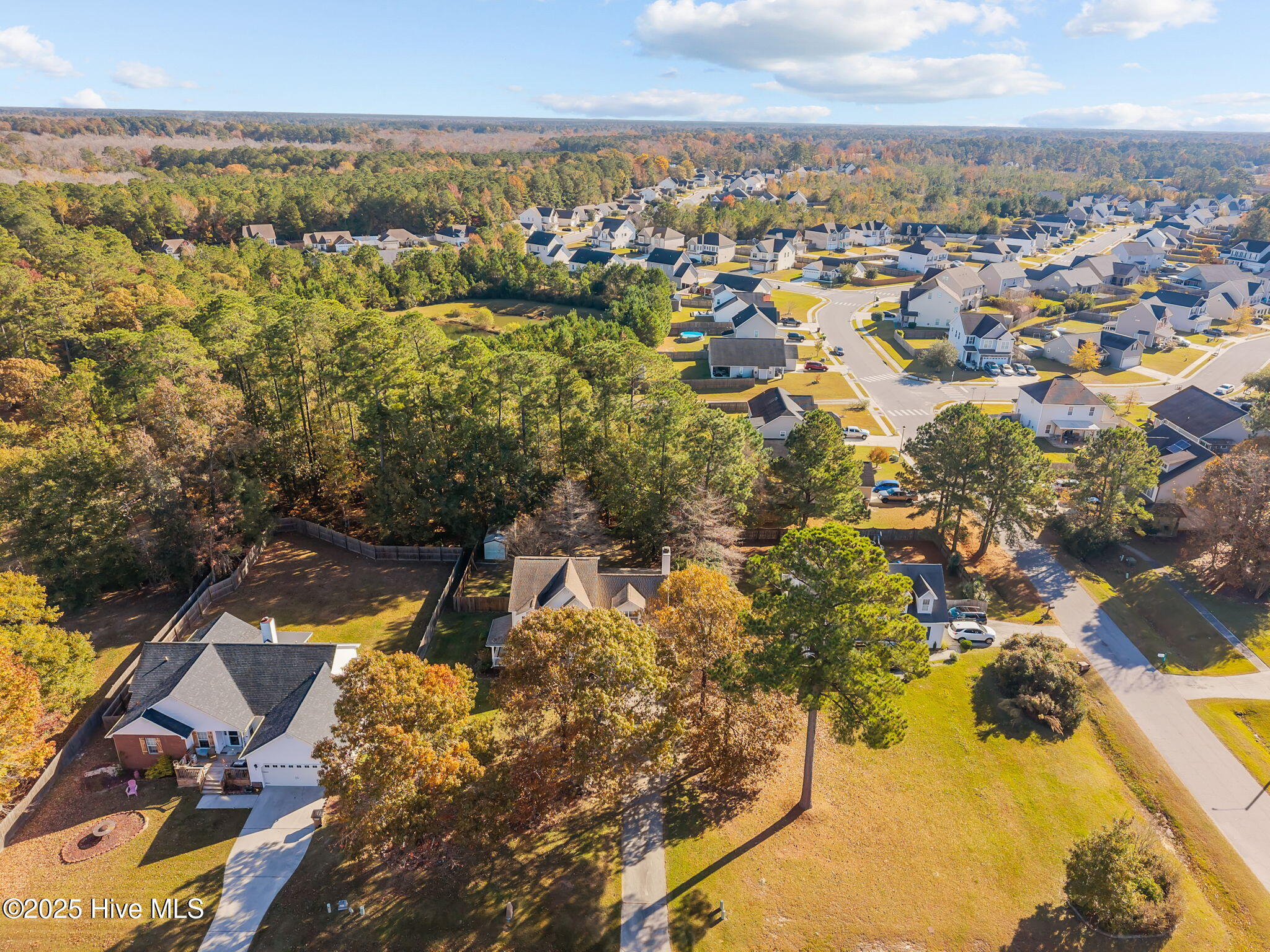 100541595 | Photo 56