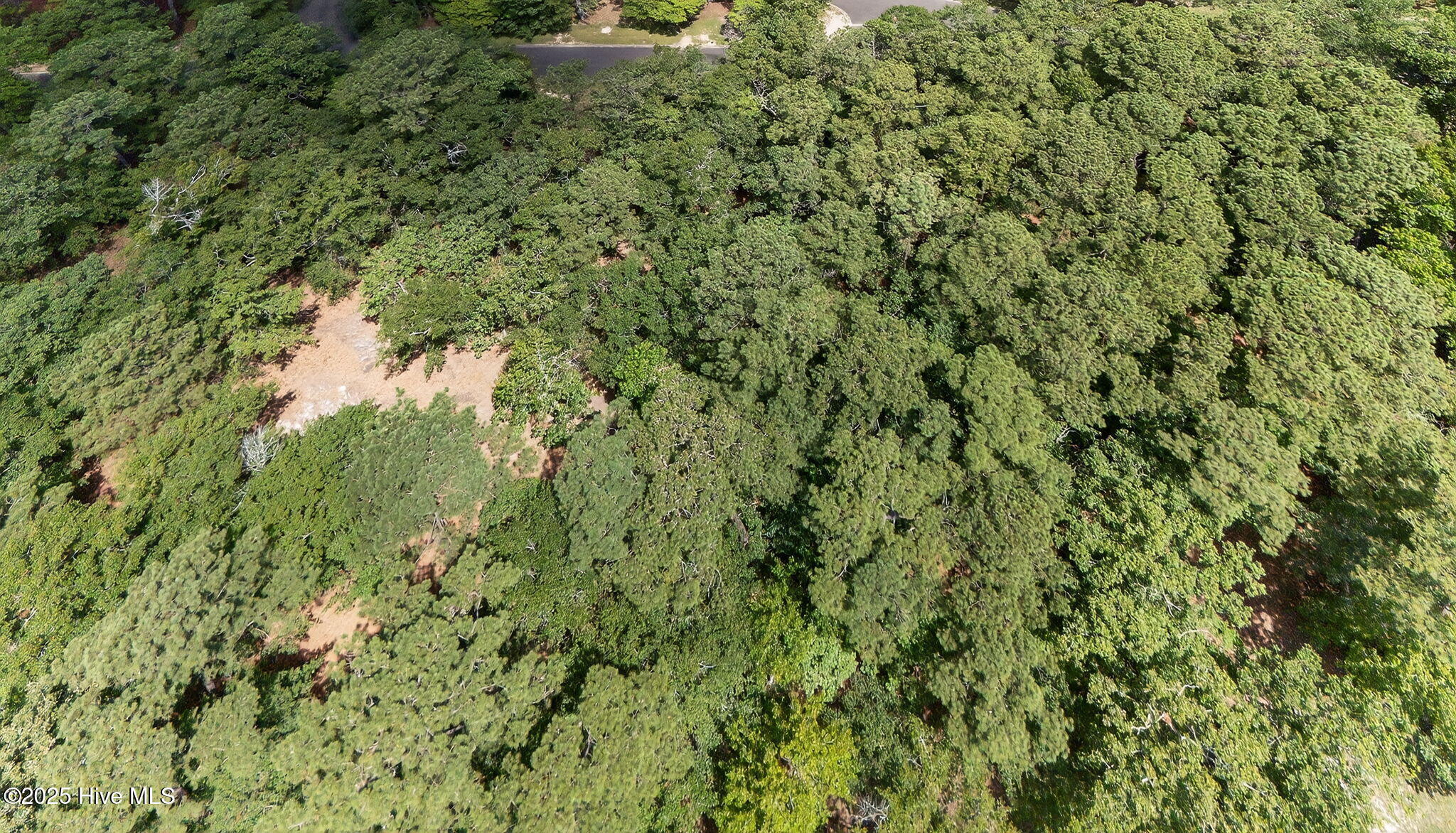 100519533 | Photo 27