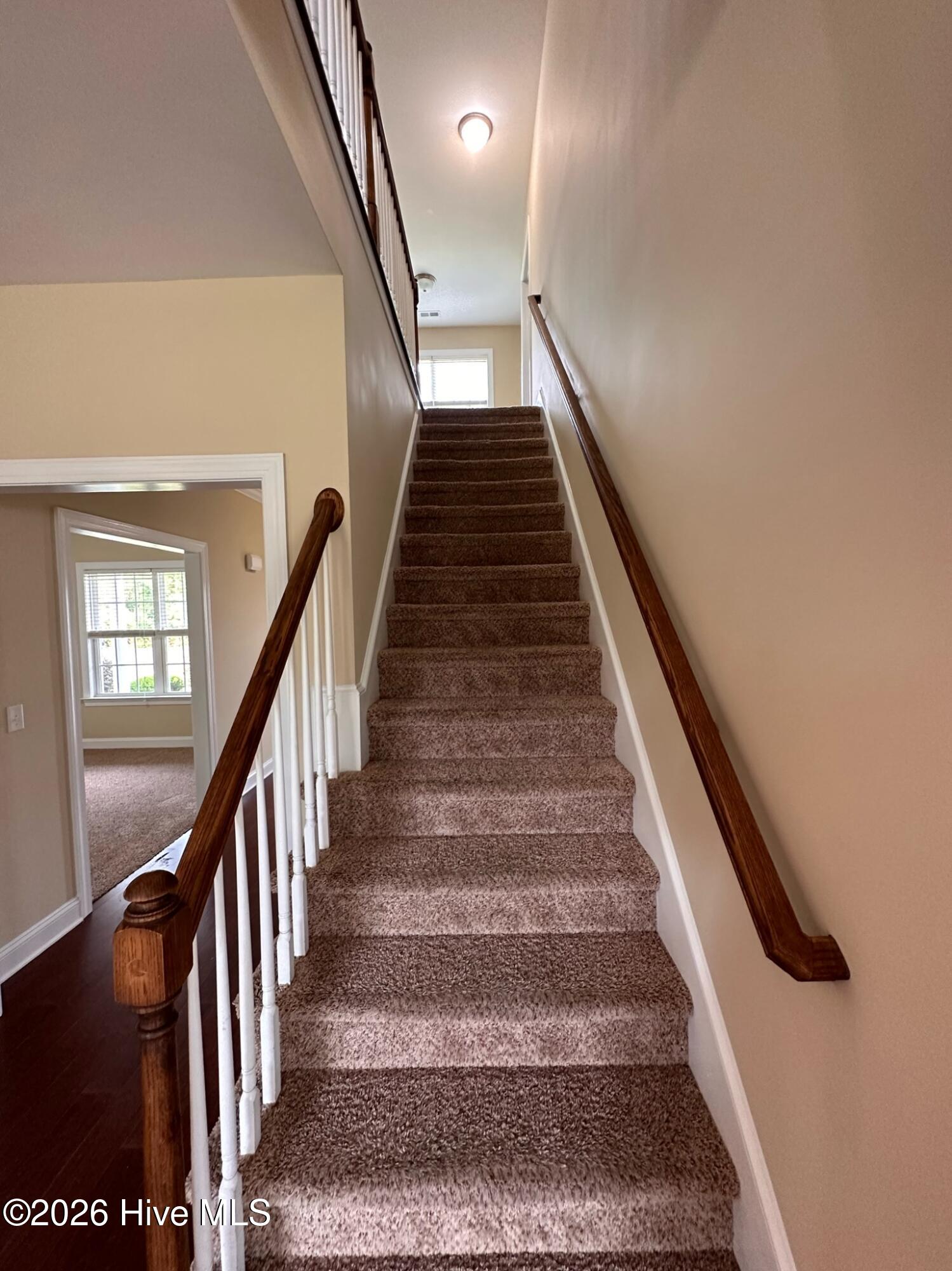 100557868 | Photo 34