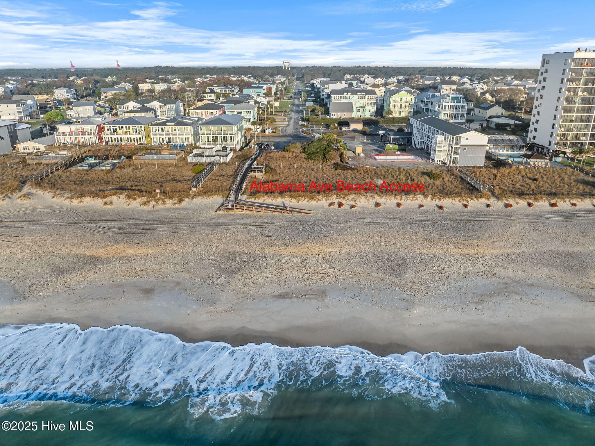 100493859 | Photo 24