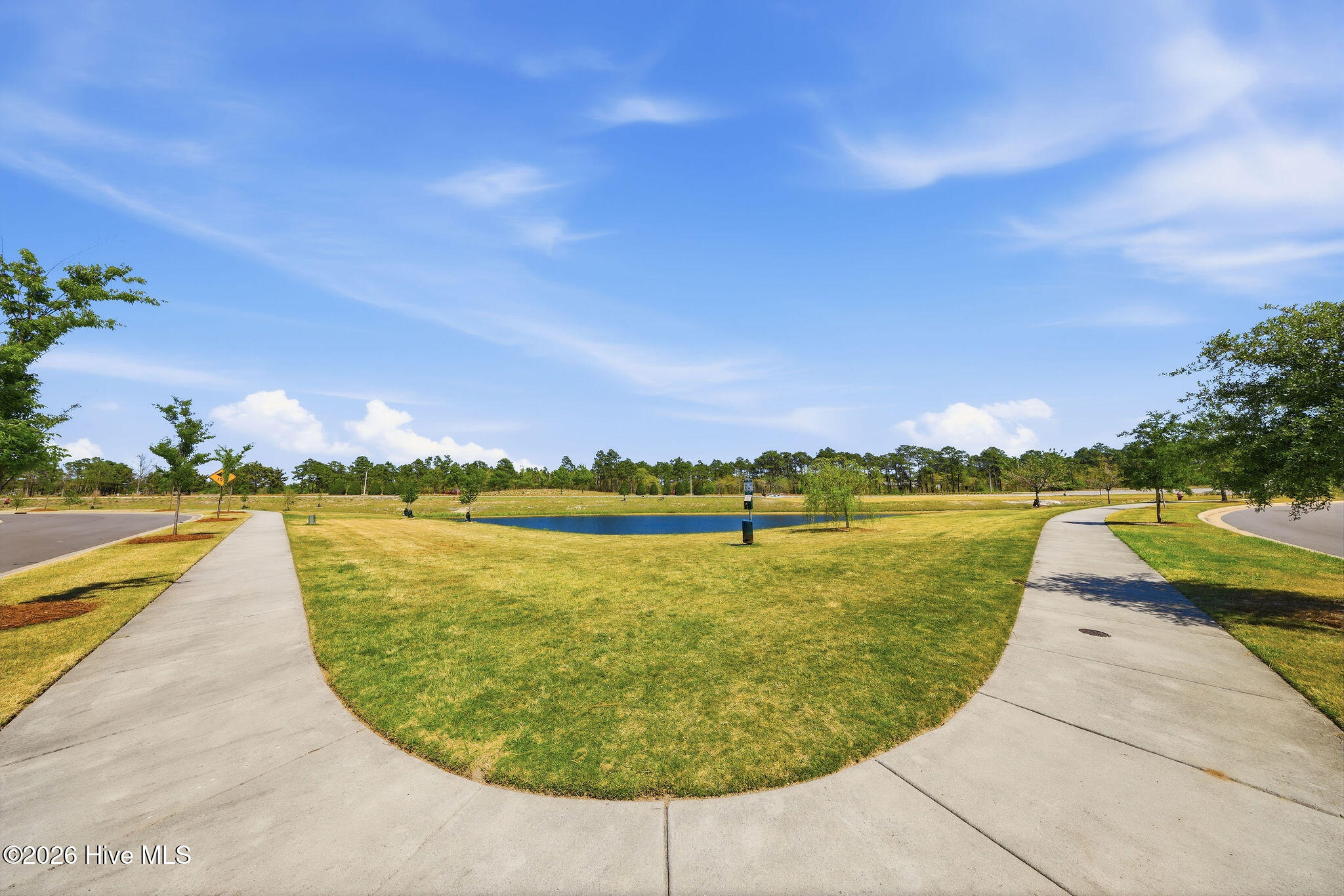 100567666 | Photo 37