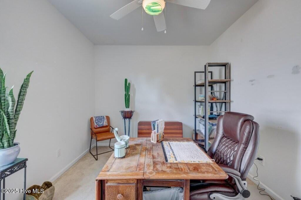 100529096 | Photo 28