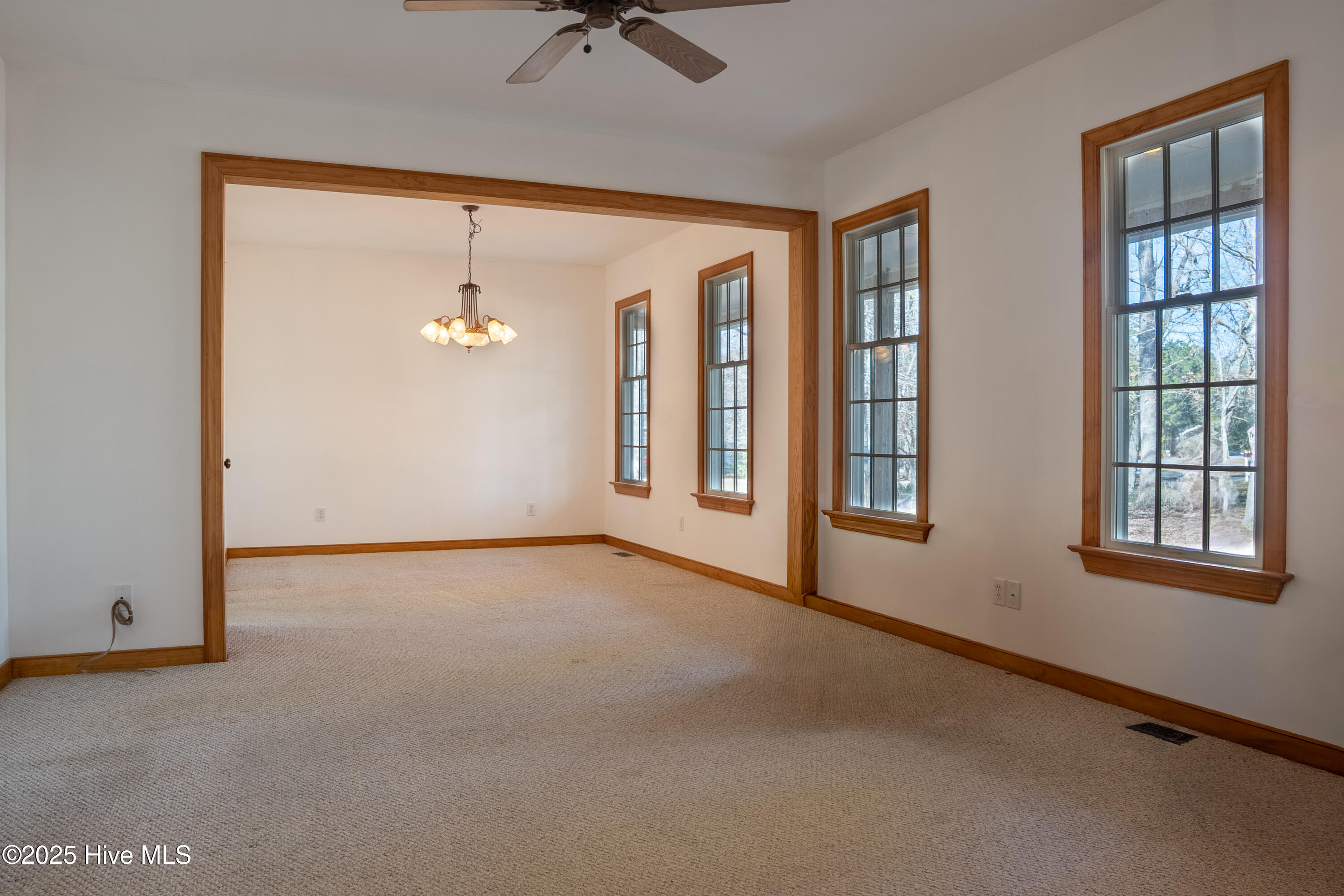 100548871 | Photo 12