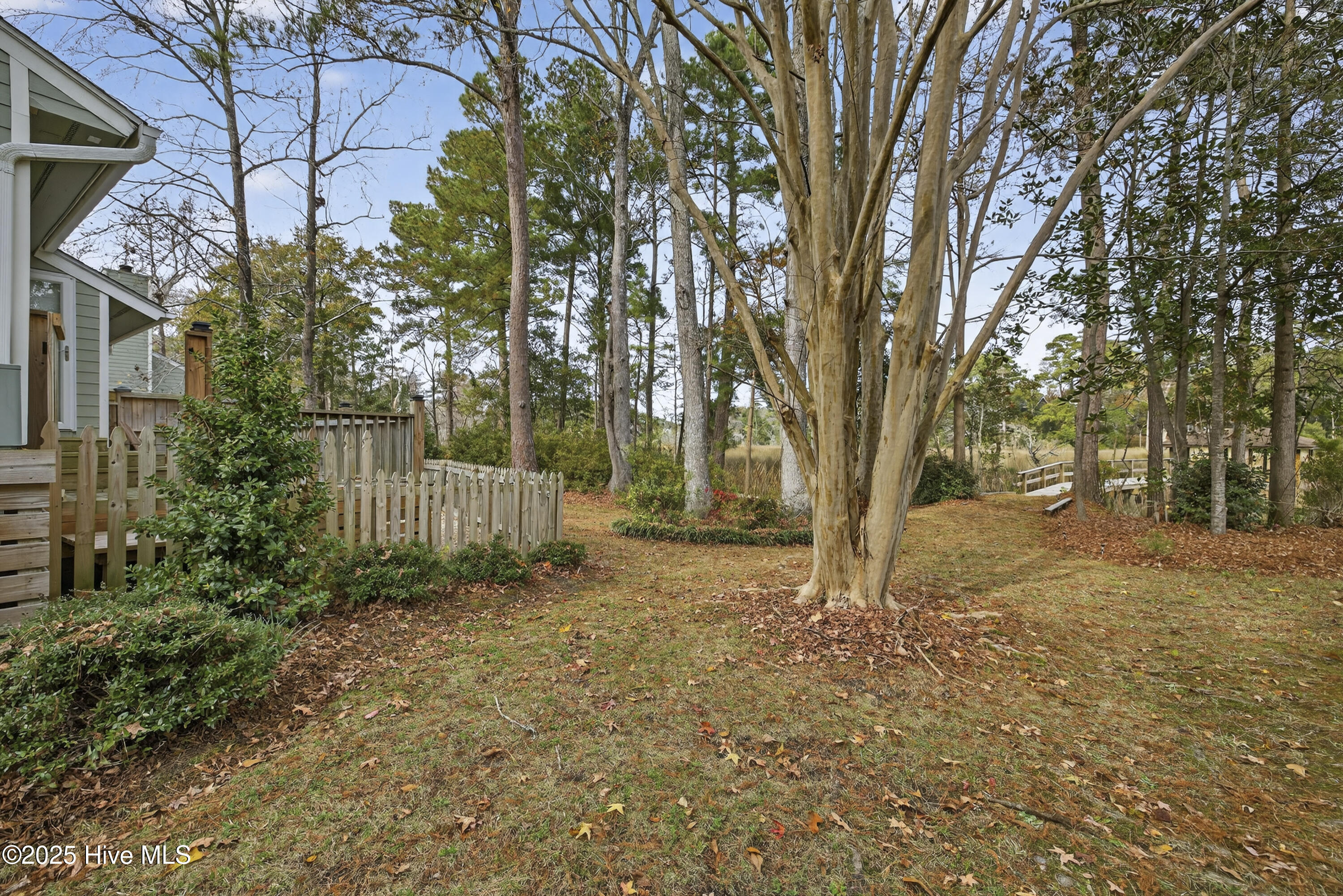 100543749 | Photo 35