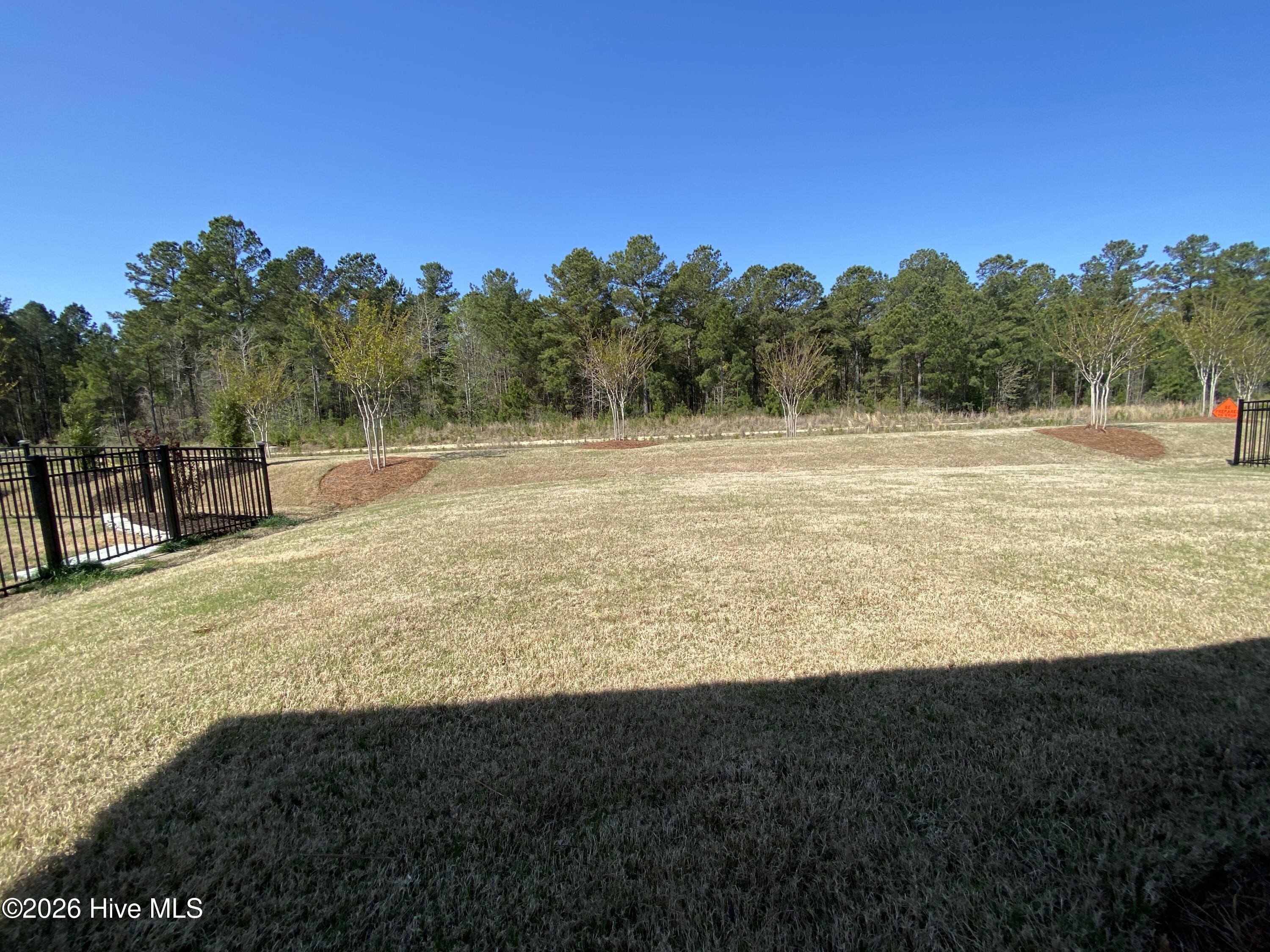 100553677 | Photo 41