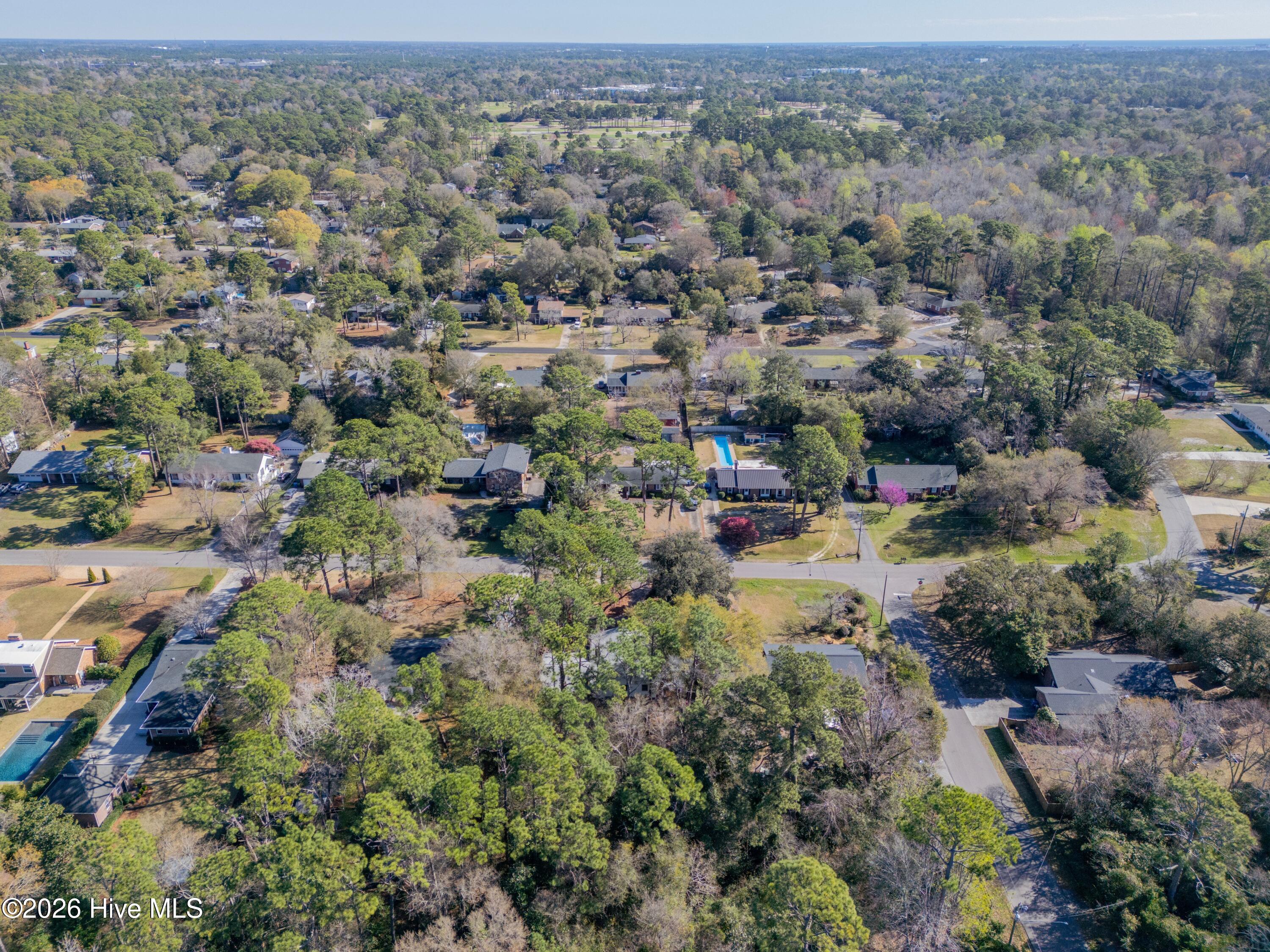 100560709 | Photo 36