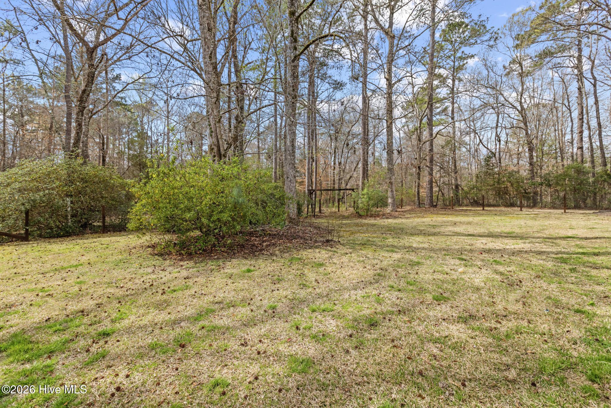 100560657 | Photo 37