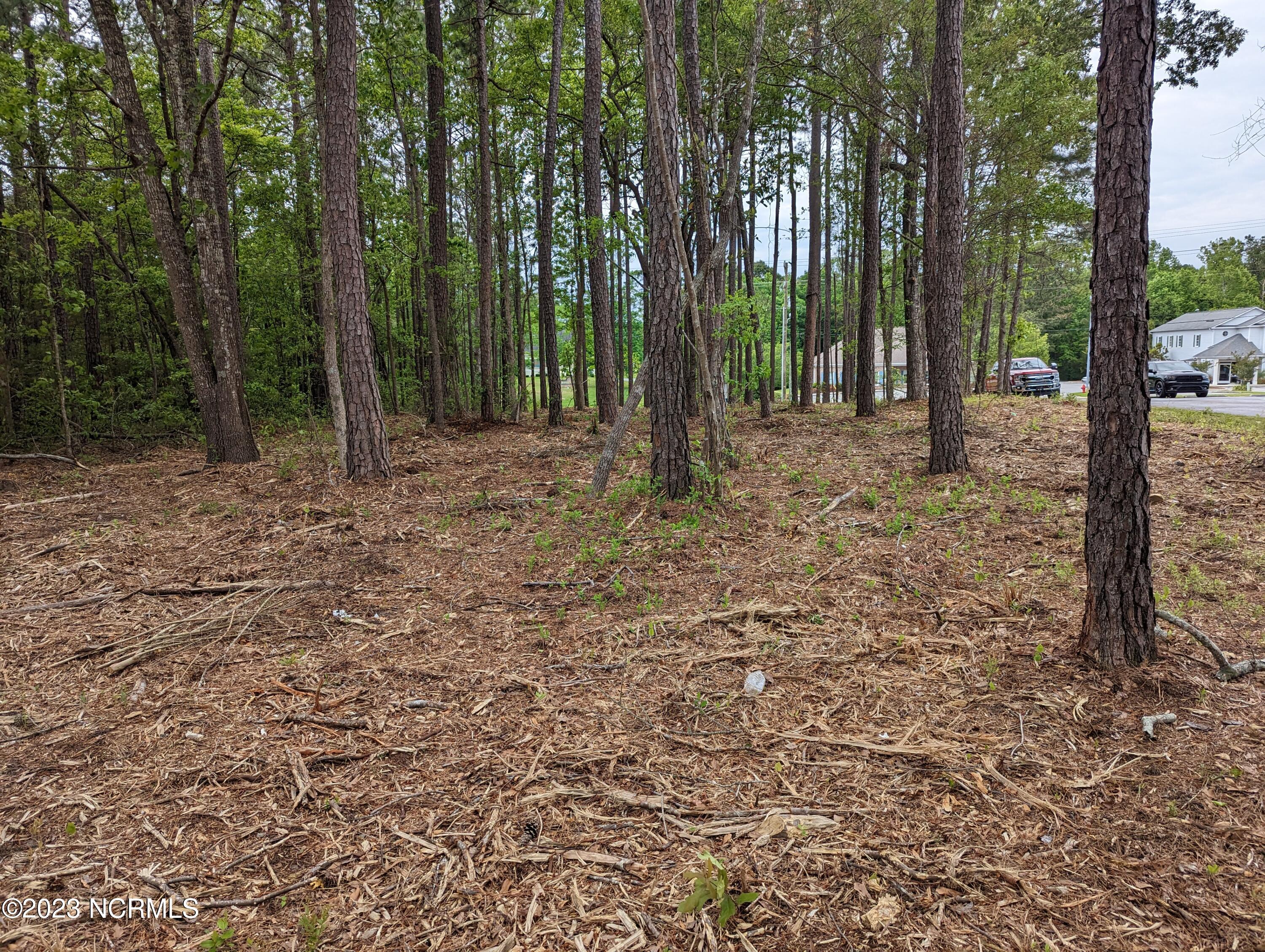 2520 Henderson Drive,Jacksonville