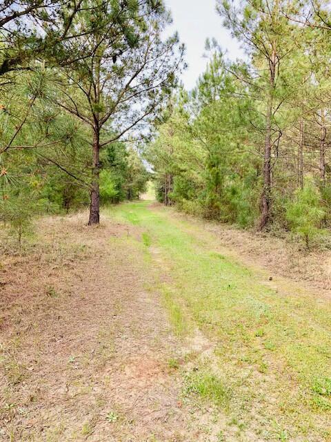 2405 HWY 88, Hephzibah, GA, 30815