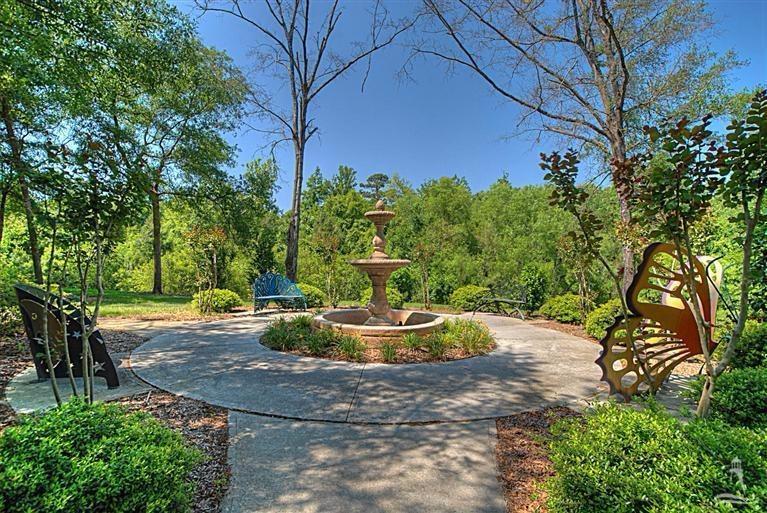 100414806 | Photo 14