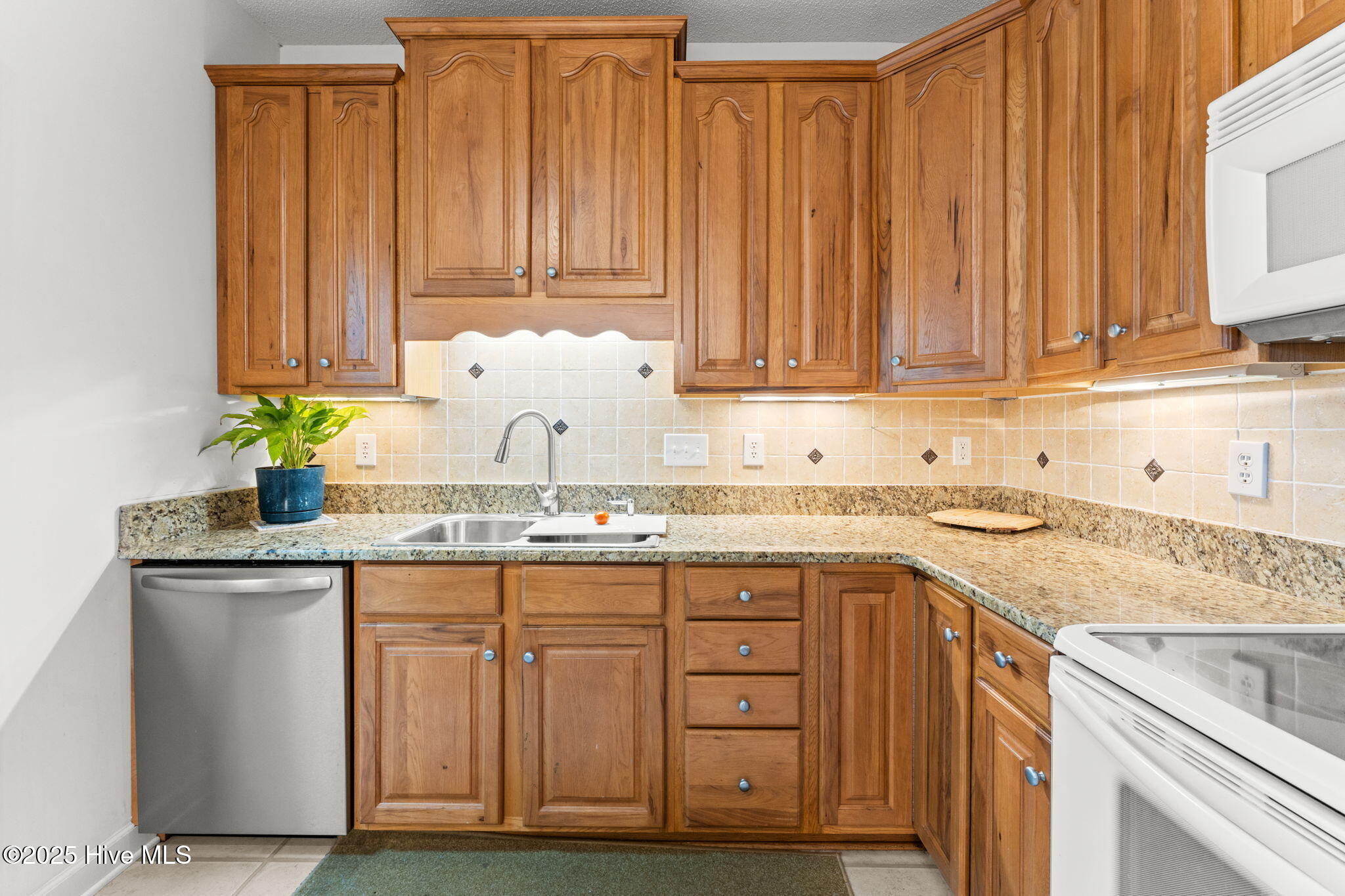 100539831 | Photo 18