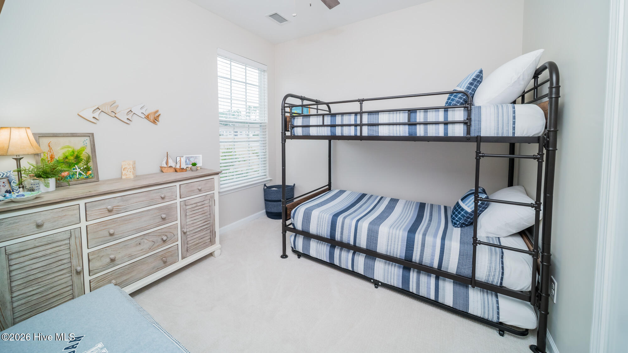 100557894 | Photo 24