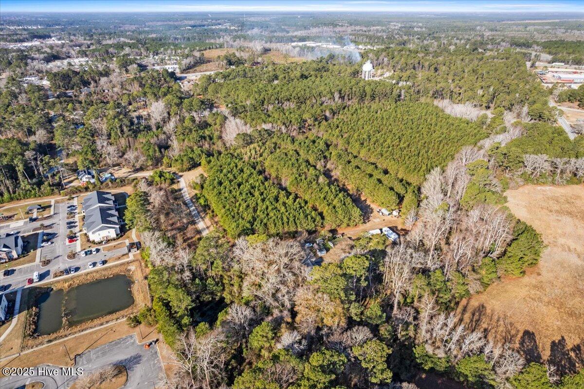 100488410 | Photo 12