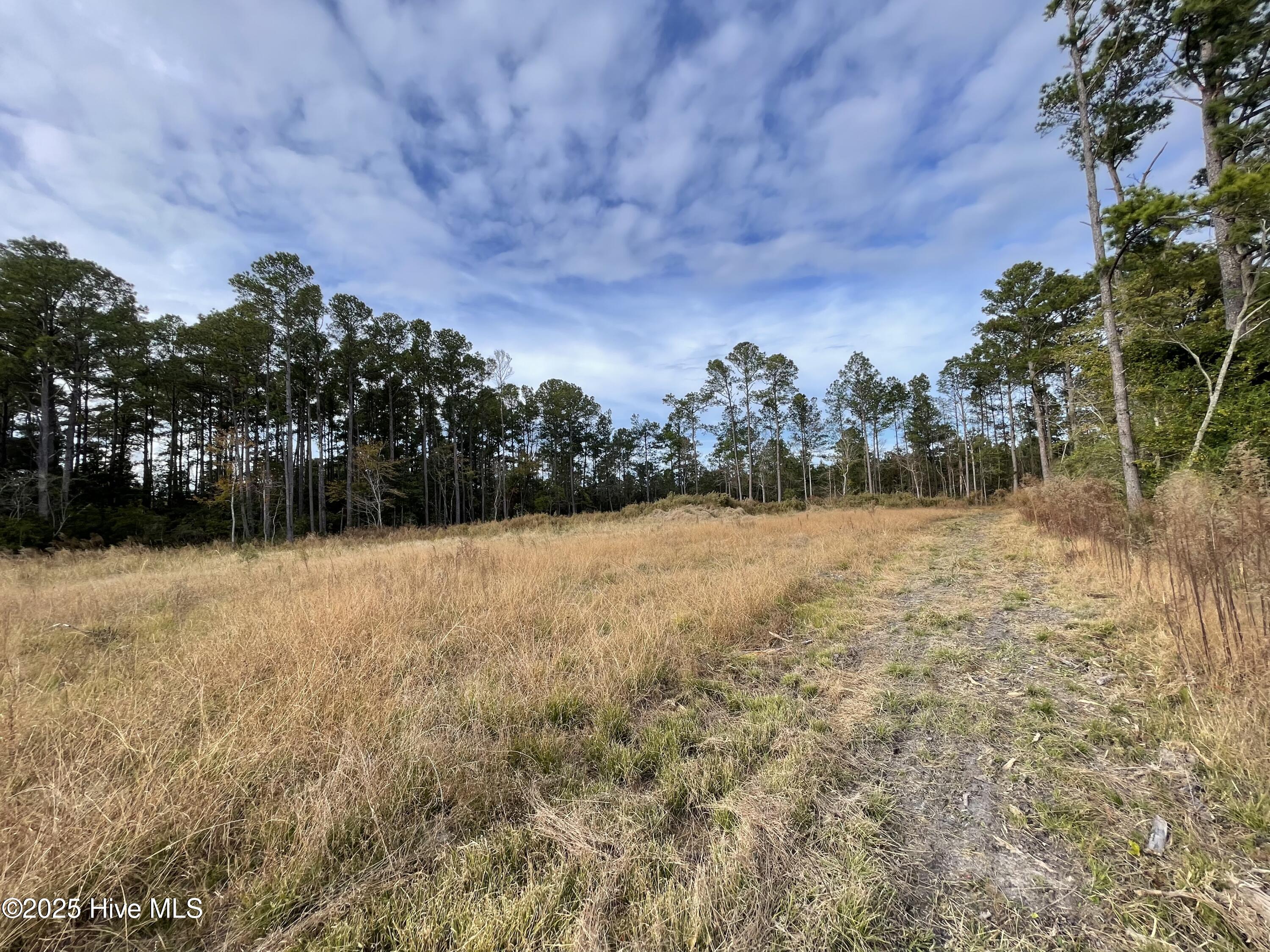 100496584 | Photo 25