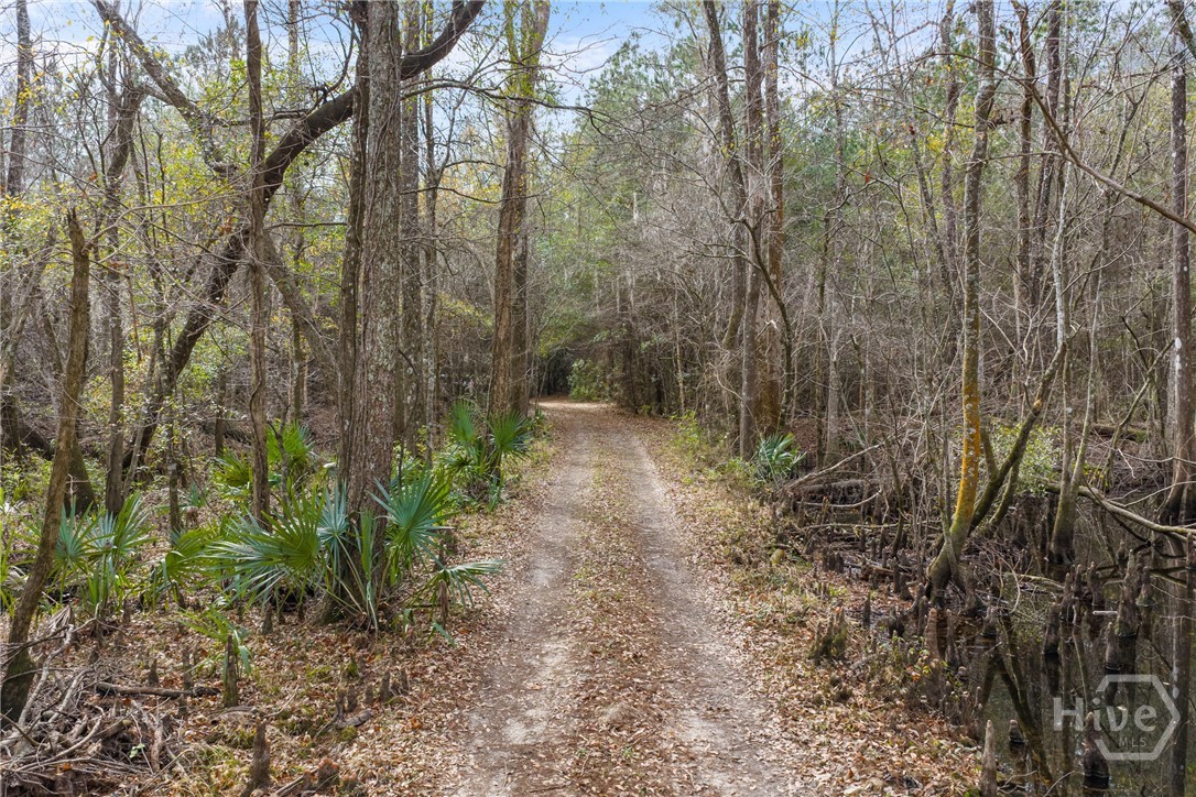 1000 Old River Road S, Brooklet, GA, 30415