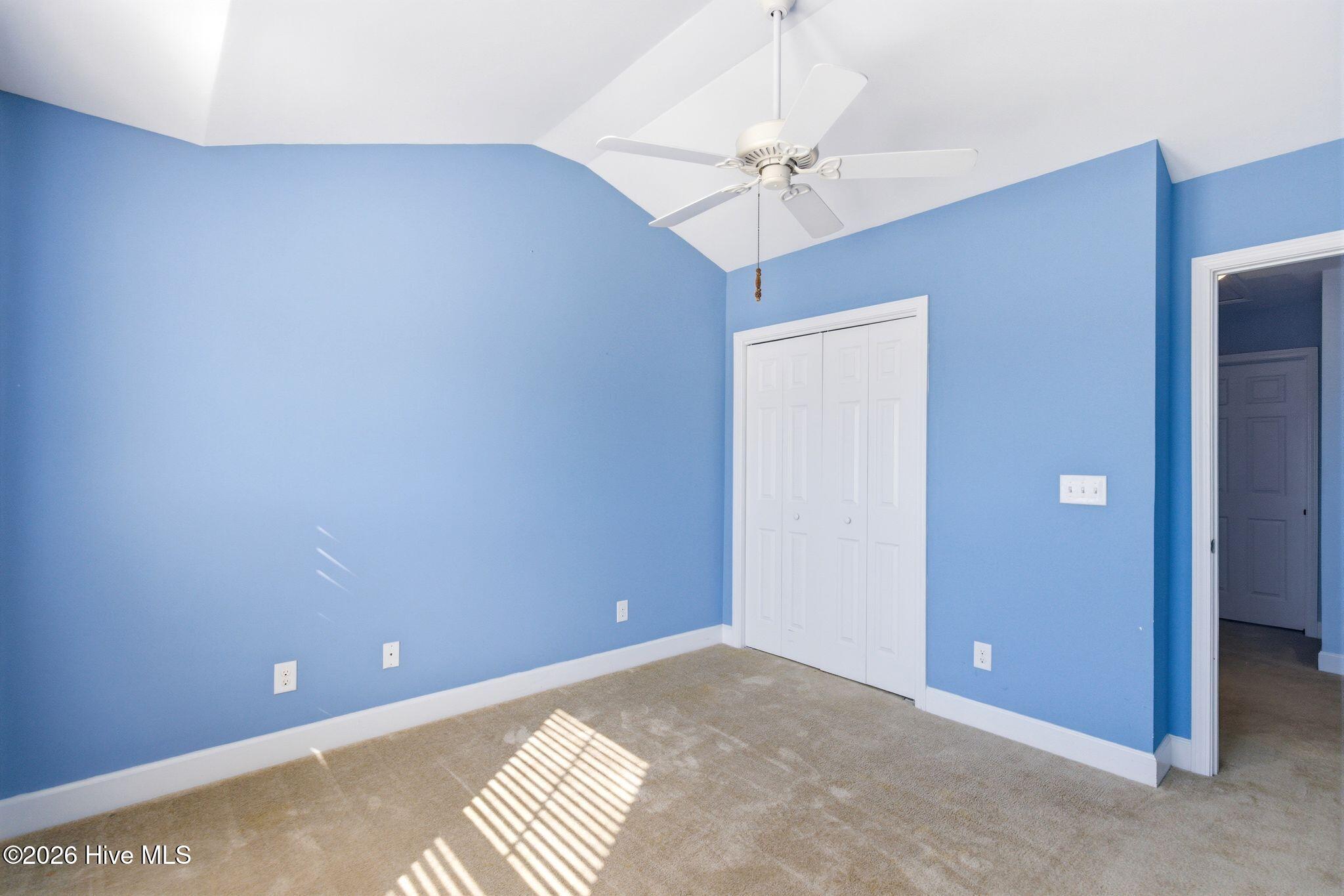 100564398 | Photo 25