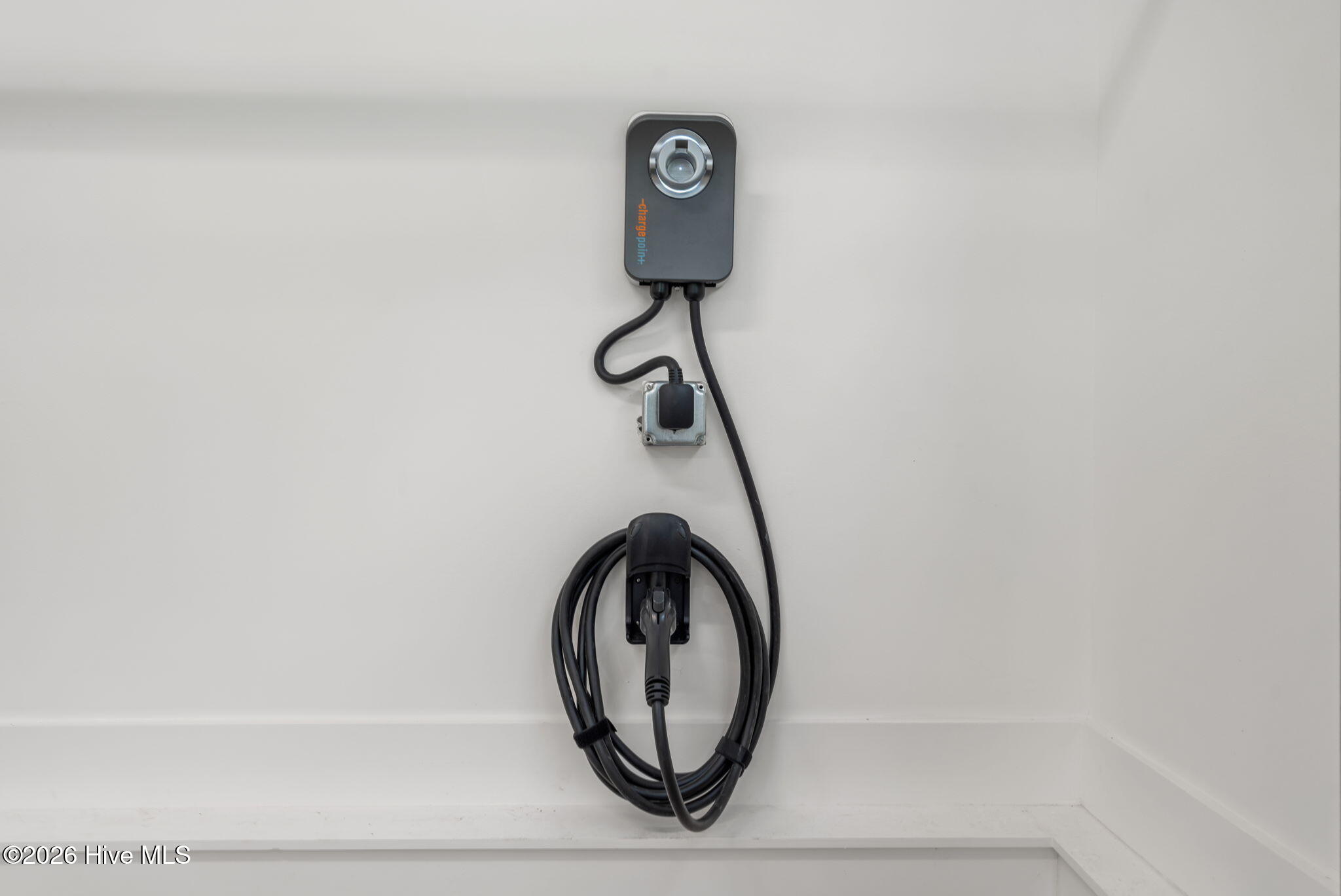 100568916 | Photo 56