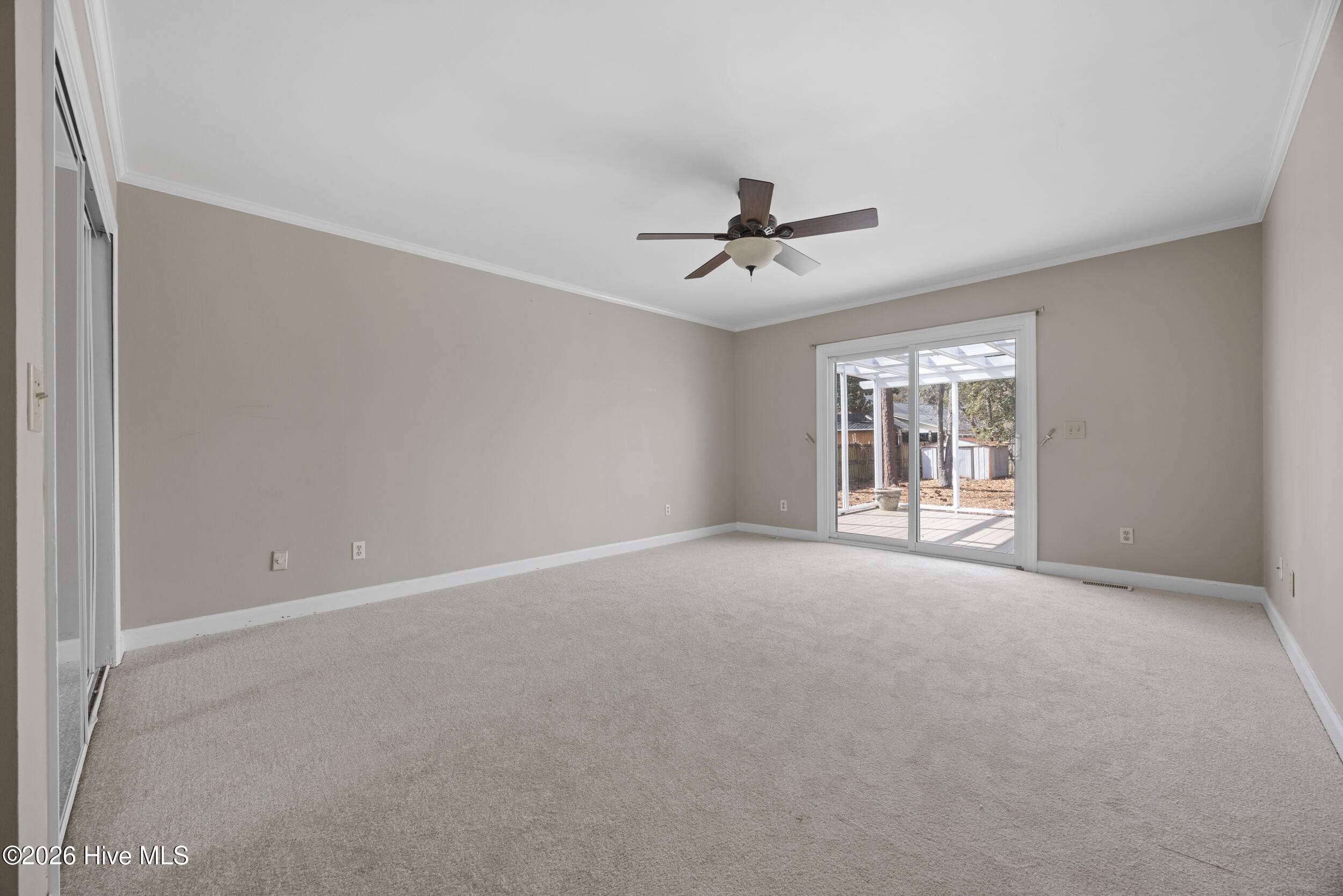 100558264 | Photo 23