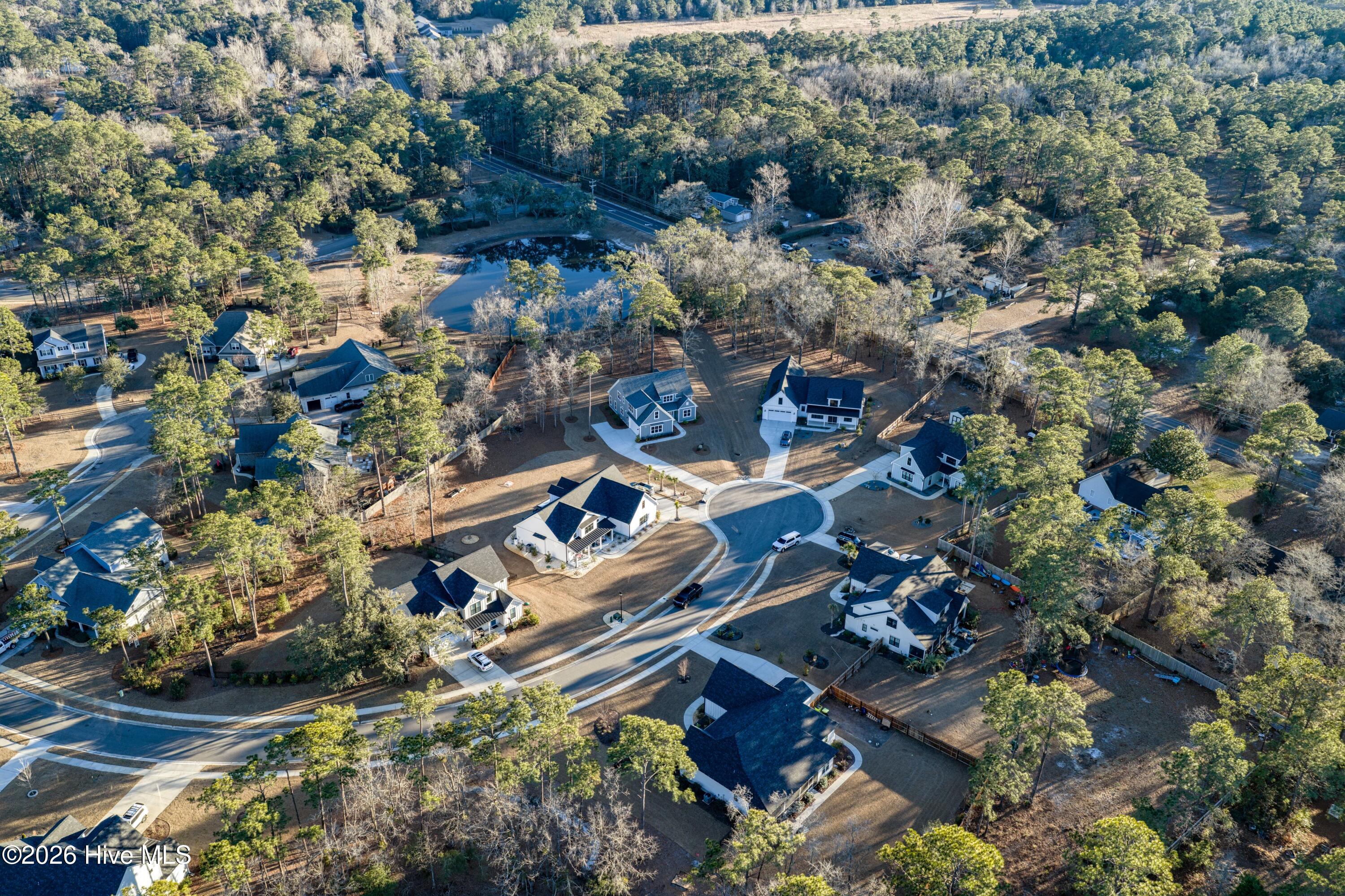 100551987 | Photo 50