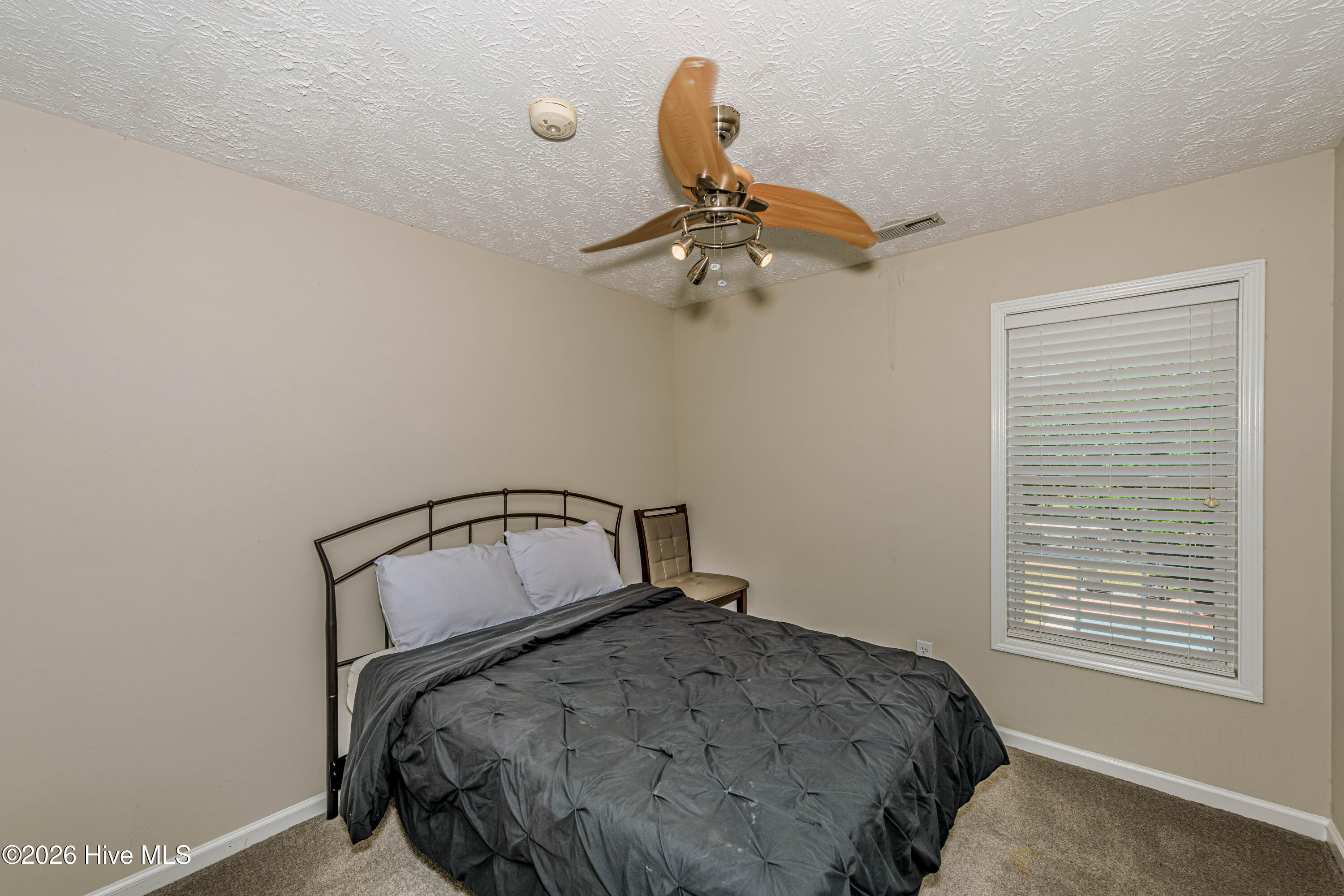 100569182 | Photo 40