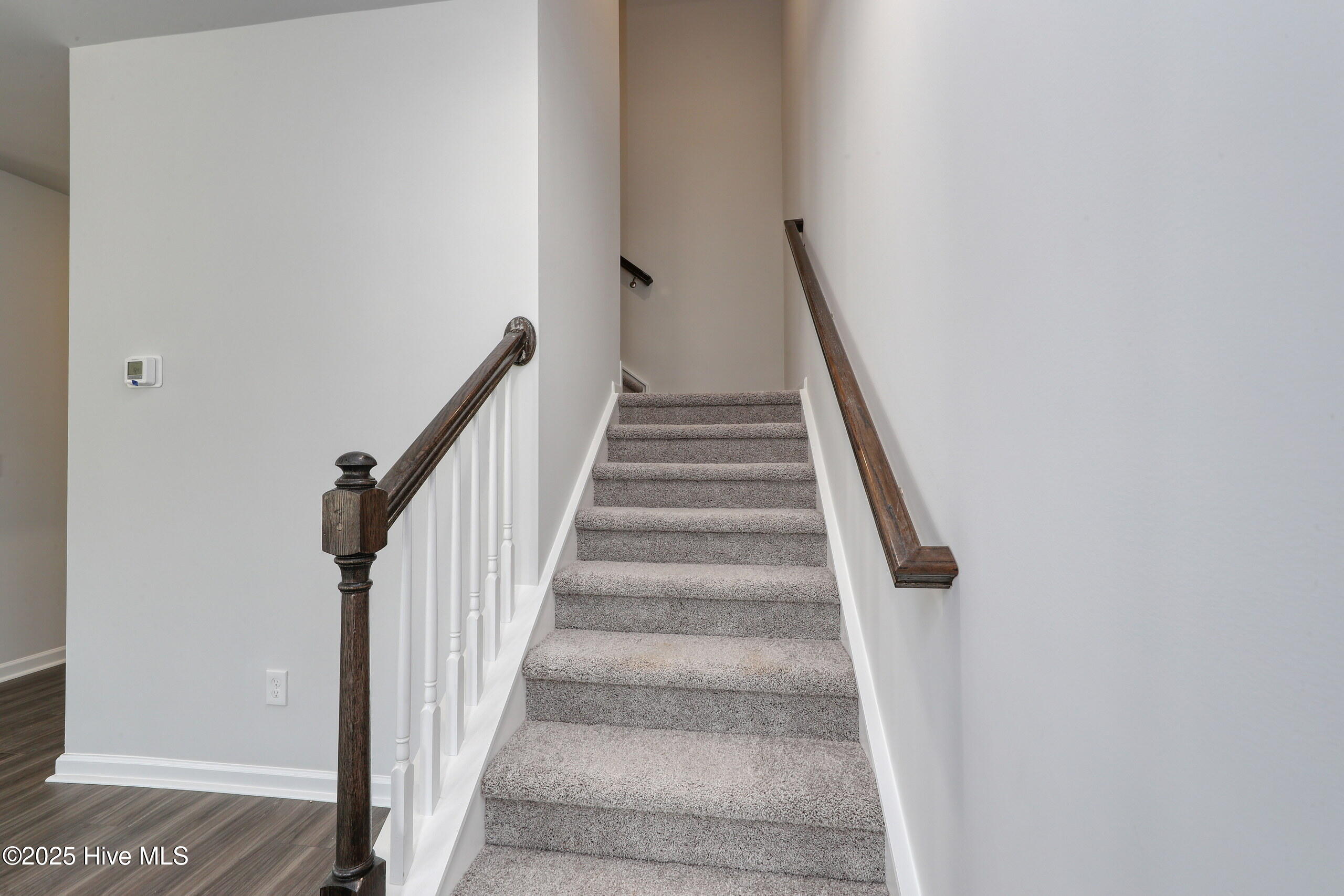 100517565 | Photo 47