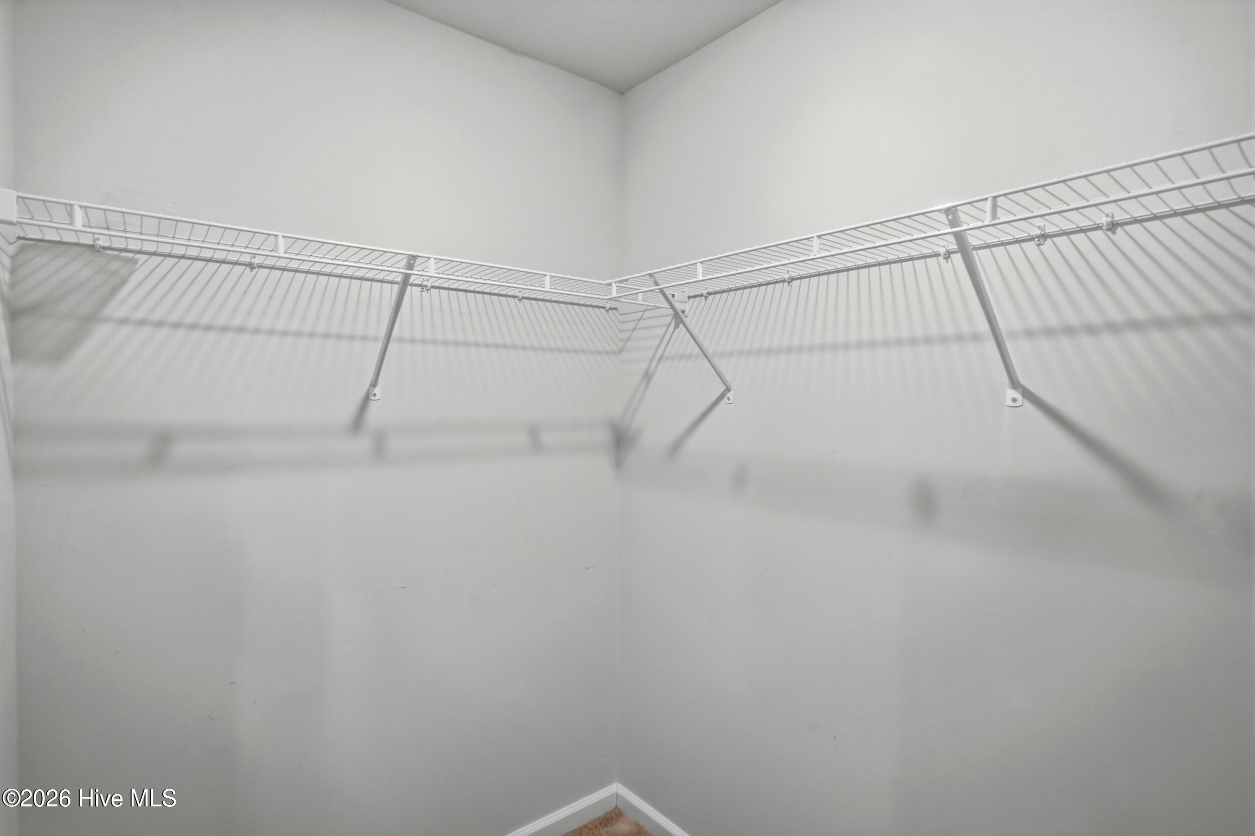 100566288 | Photo 17