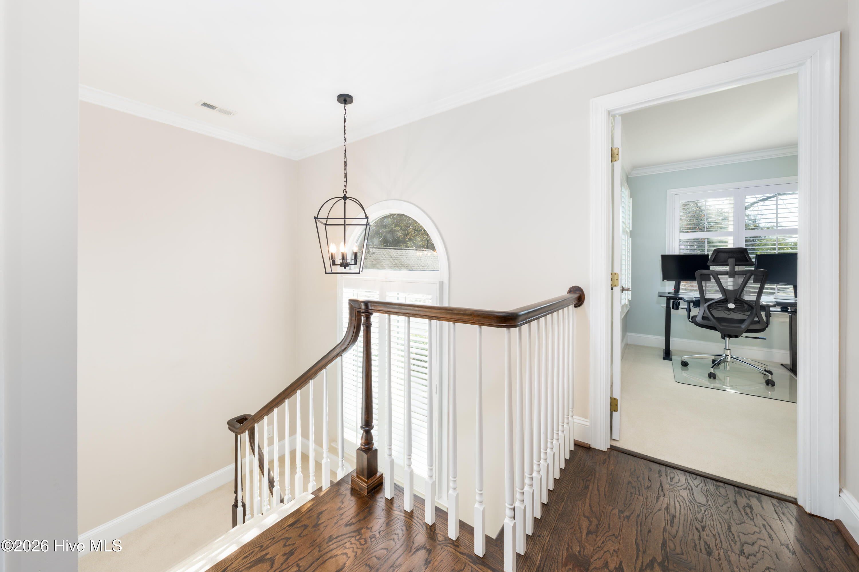 100553982 | Photo 29