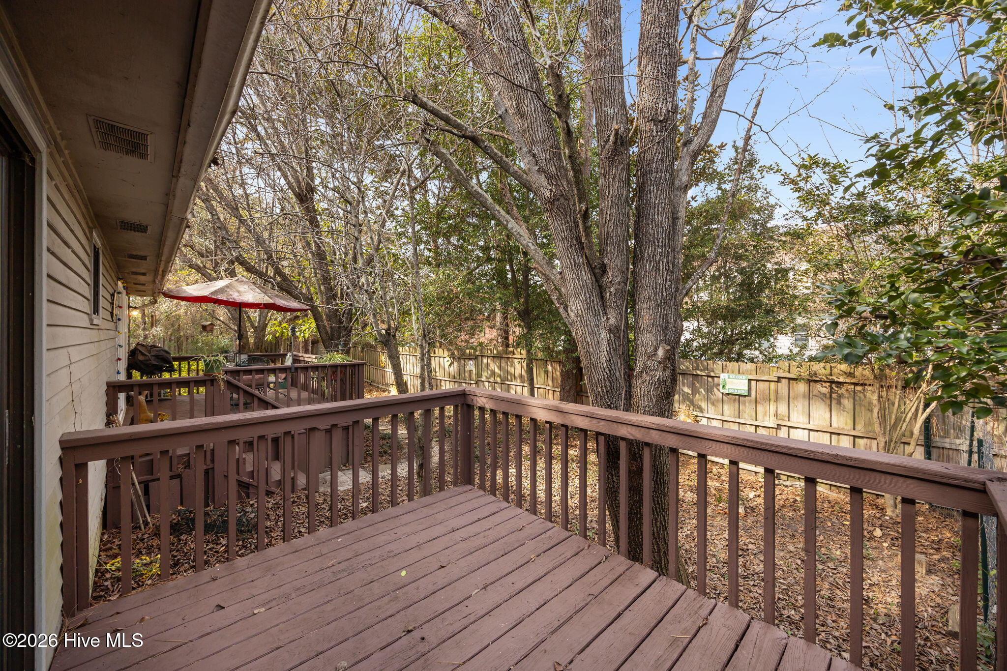 100552337 | Photo 31