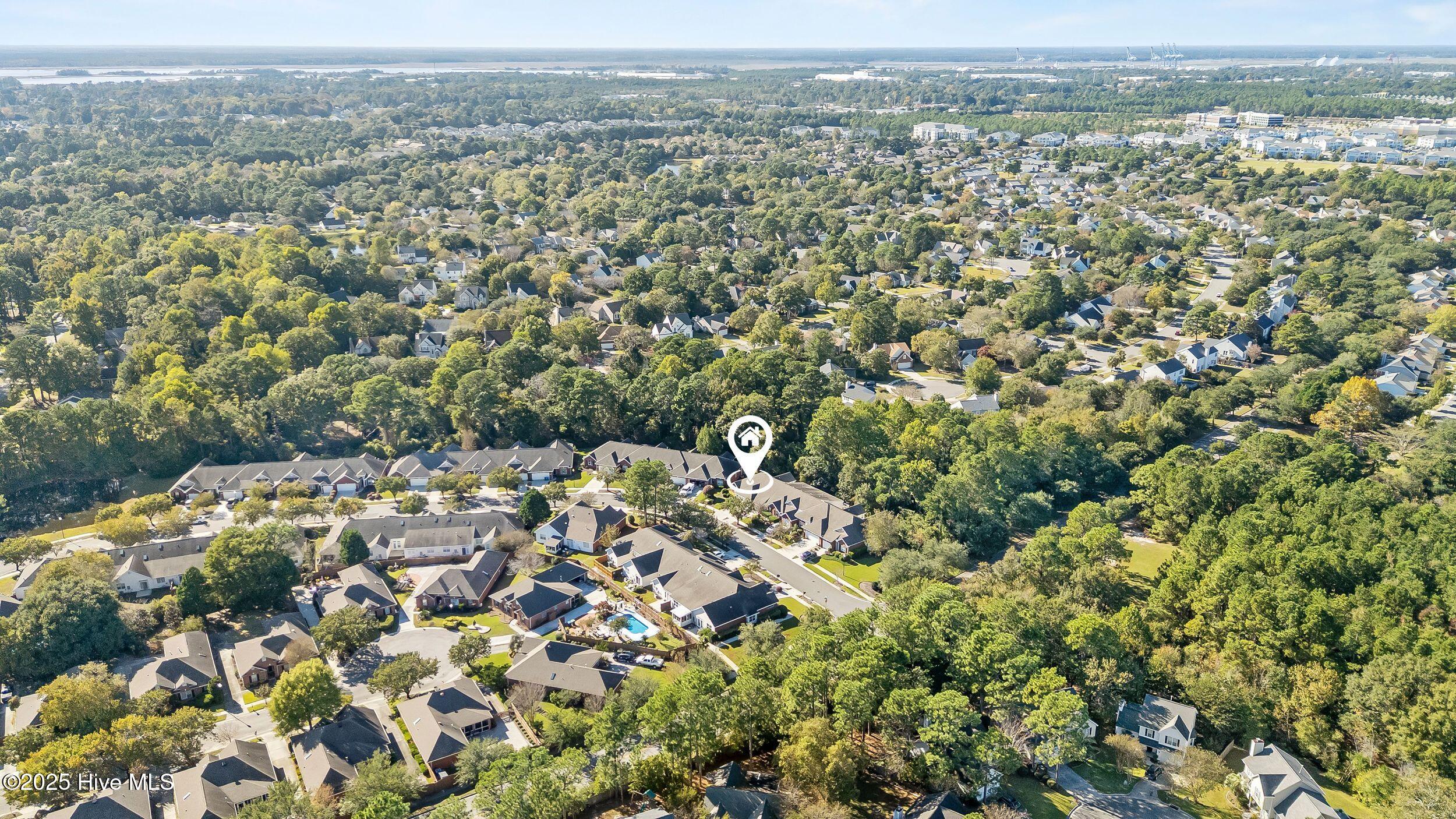 100536909 | Photo 30