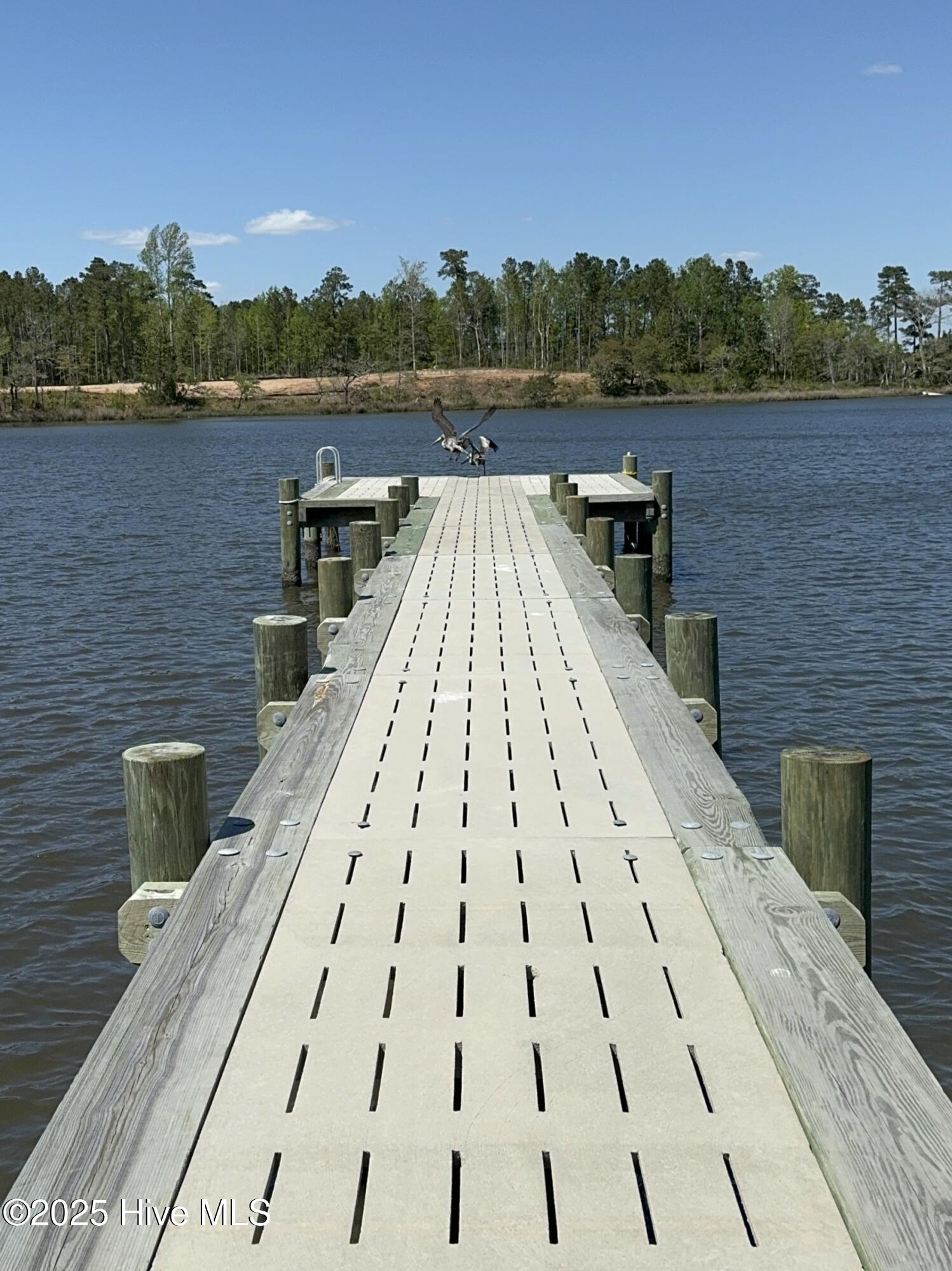 100534691 | Photo 78