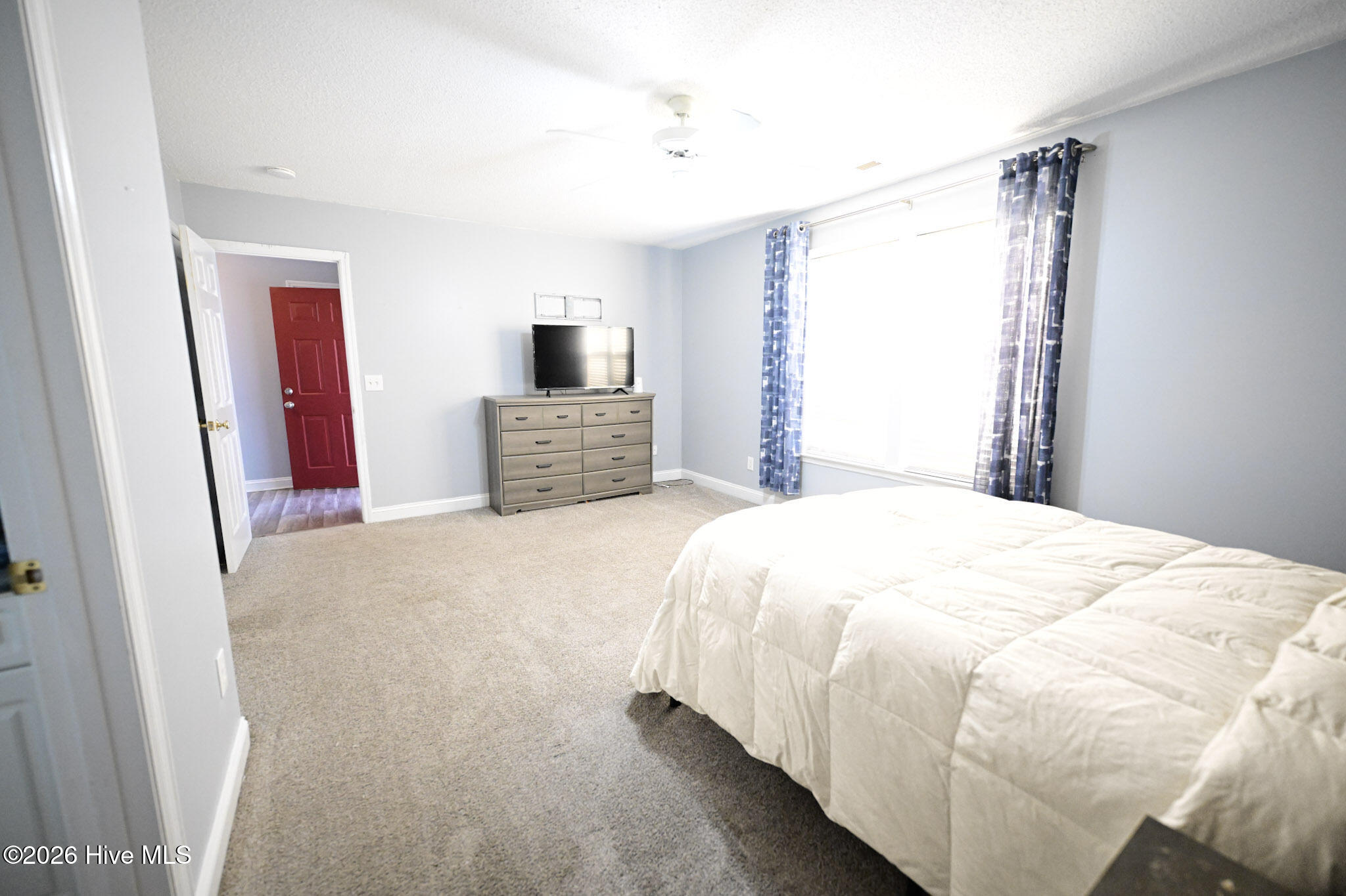 100549059 | Photo 16