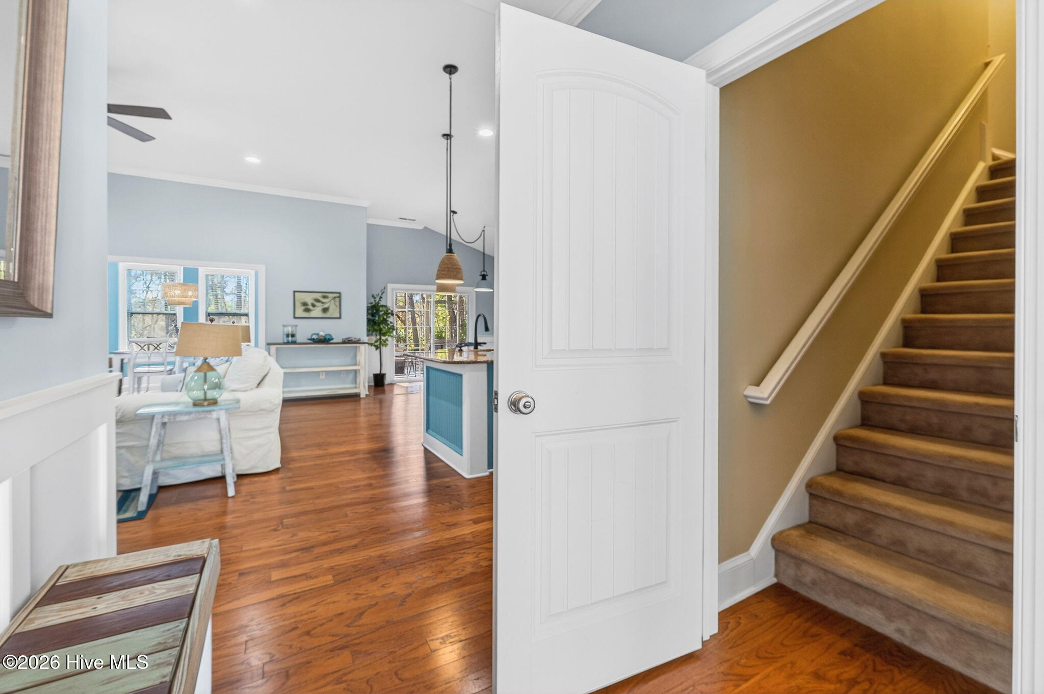 100558645 | Photo 38