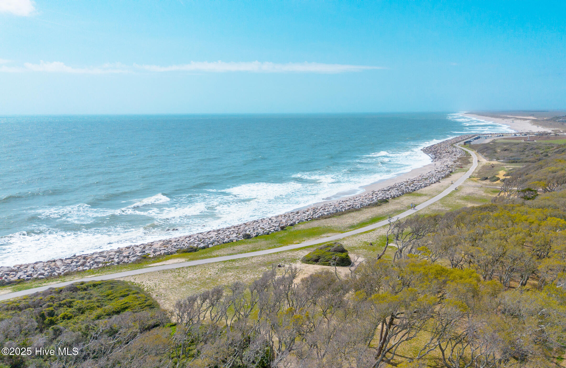 100557398 | Photo 23