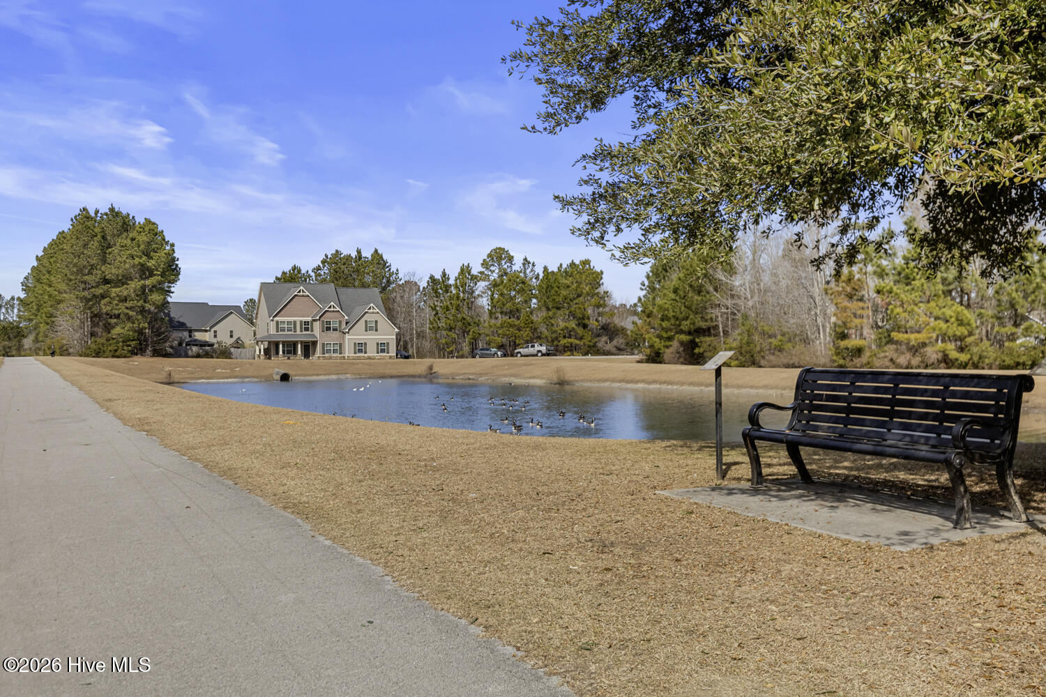 100552238 | Photo 54