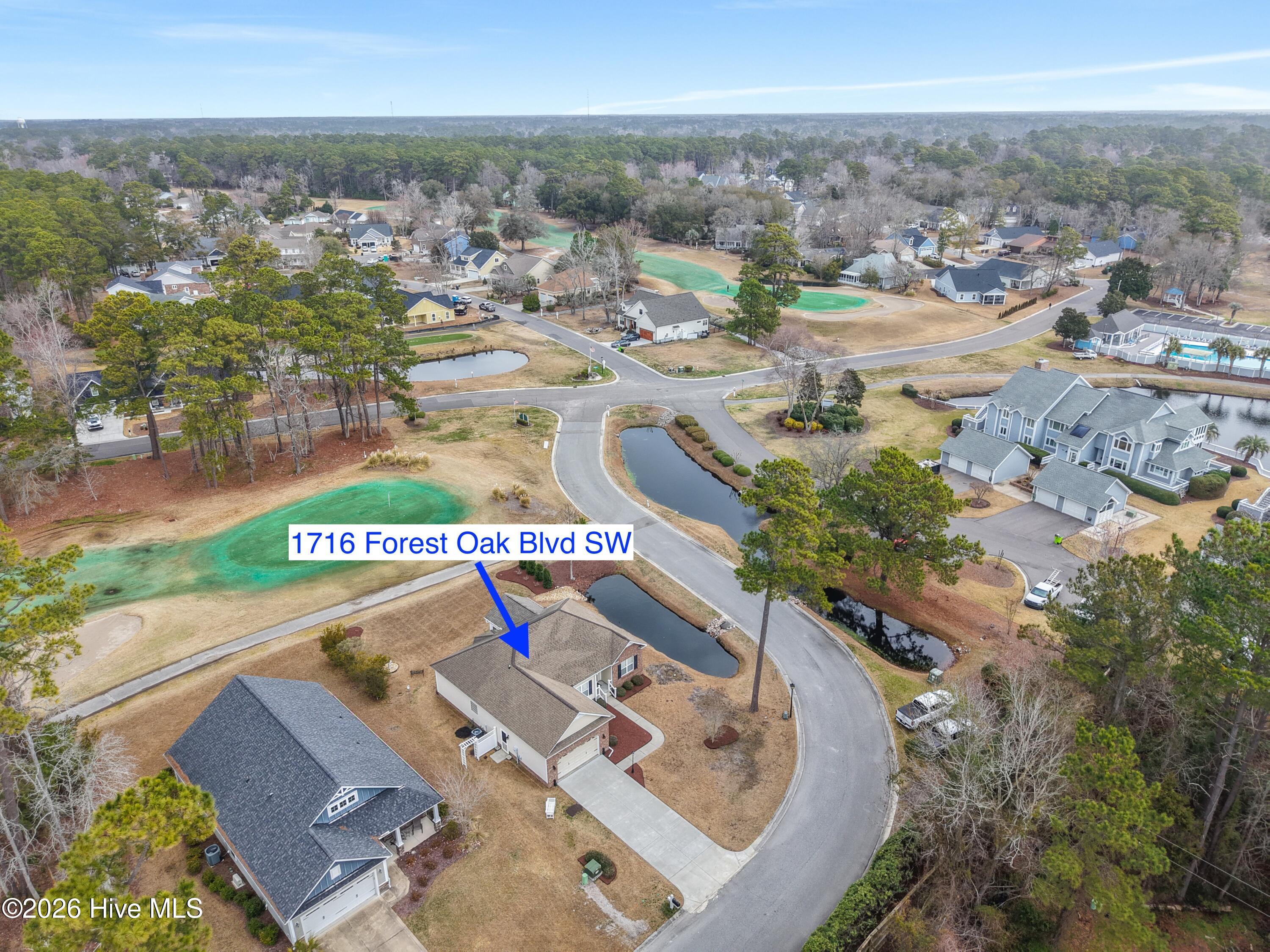 100555748 | Photo 62