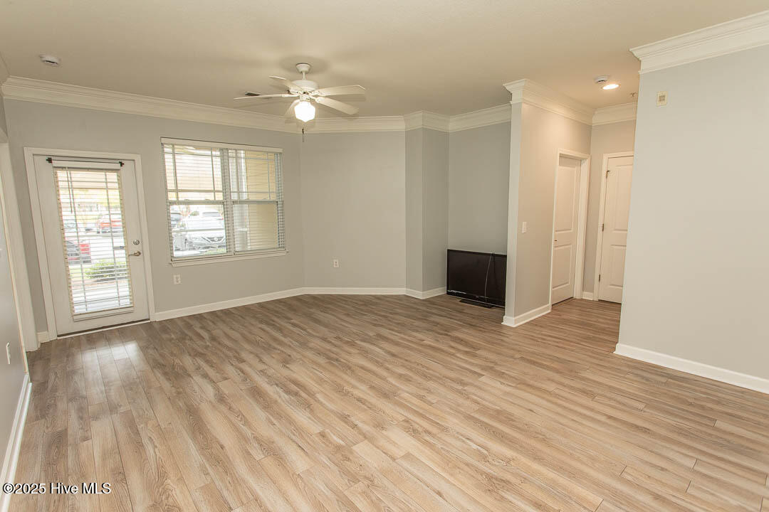 100532415 | Photo 13