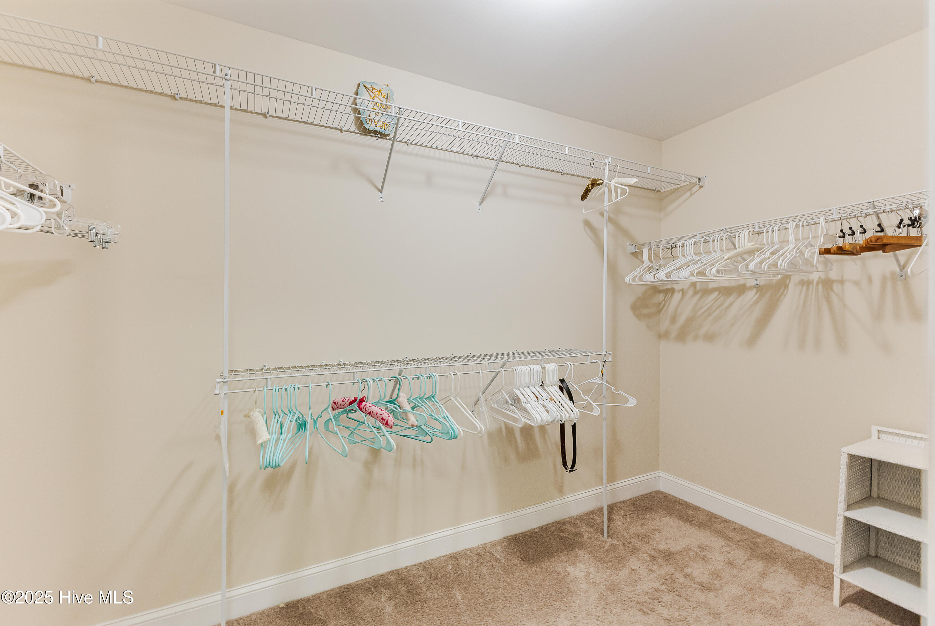 100516362 | Photo 28