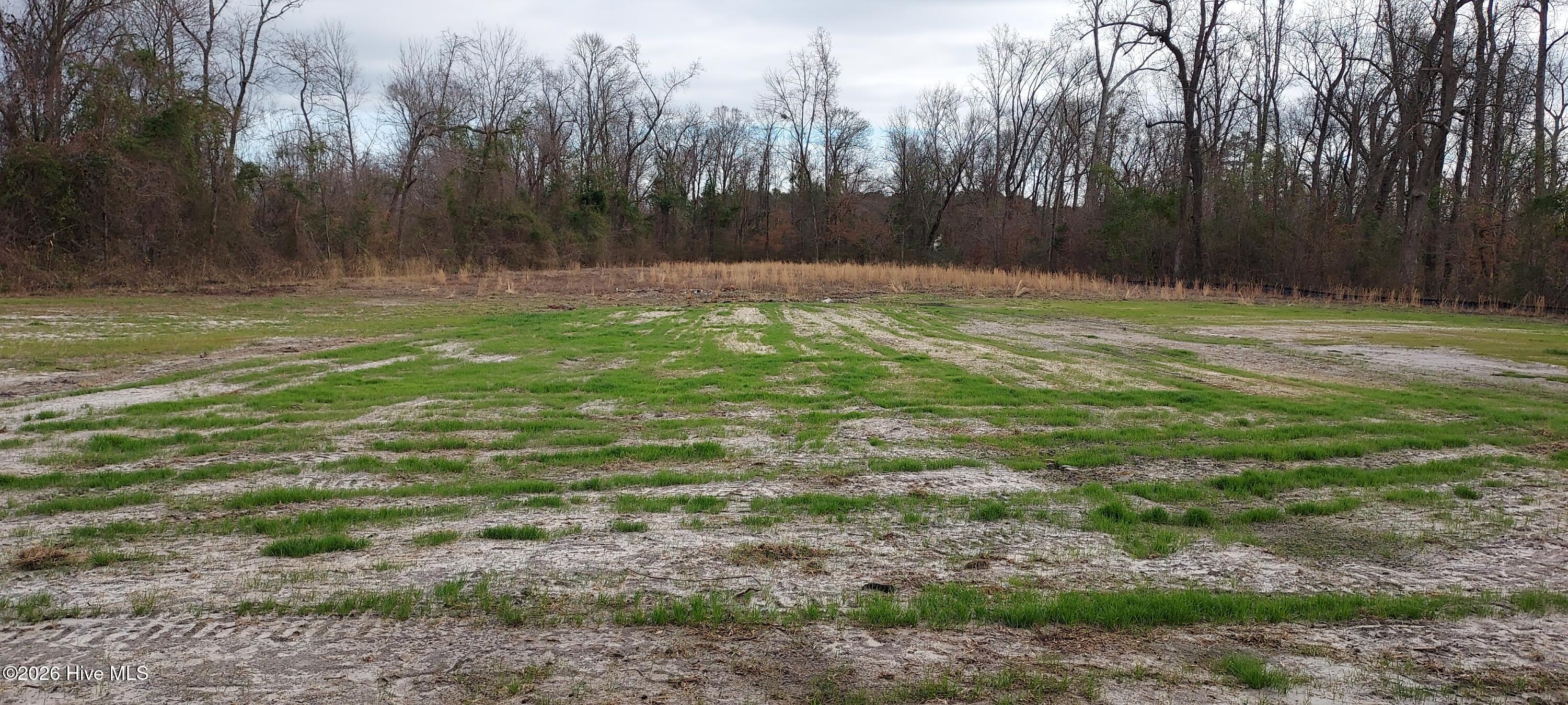 Homes for sale in Maysville, NC | 646 Bright Harvest Dr, Maysville, NC 28555 | MLS# 100522813