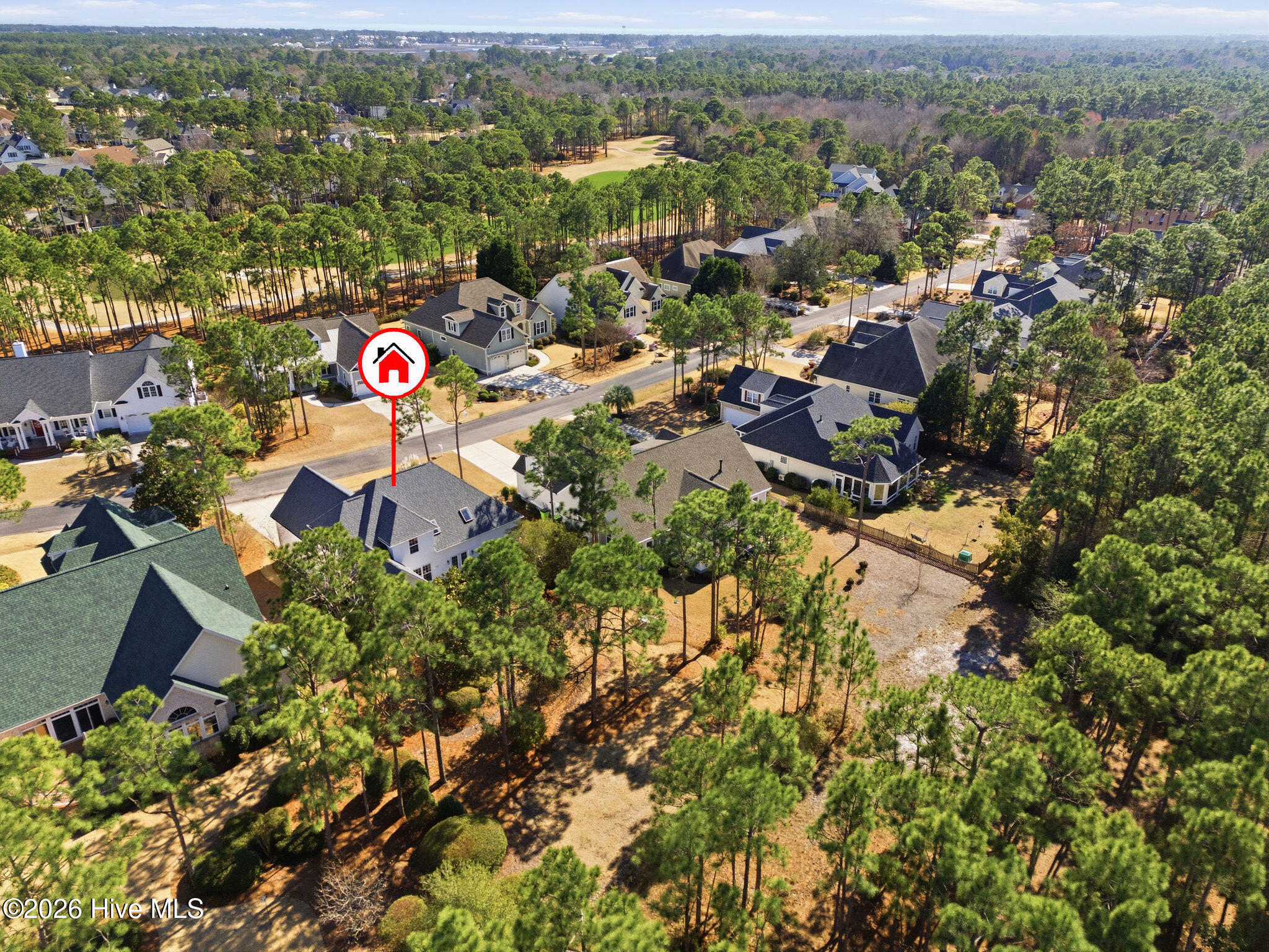 100558304 | Photo 63